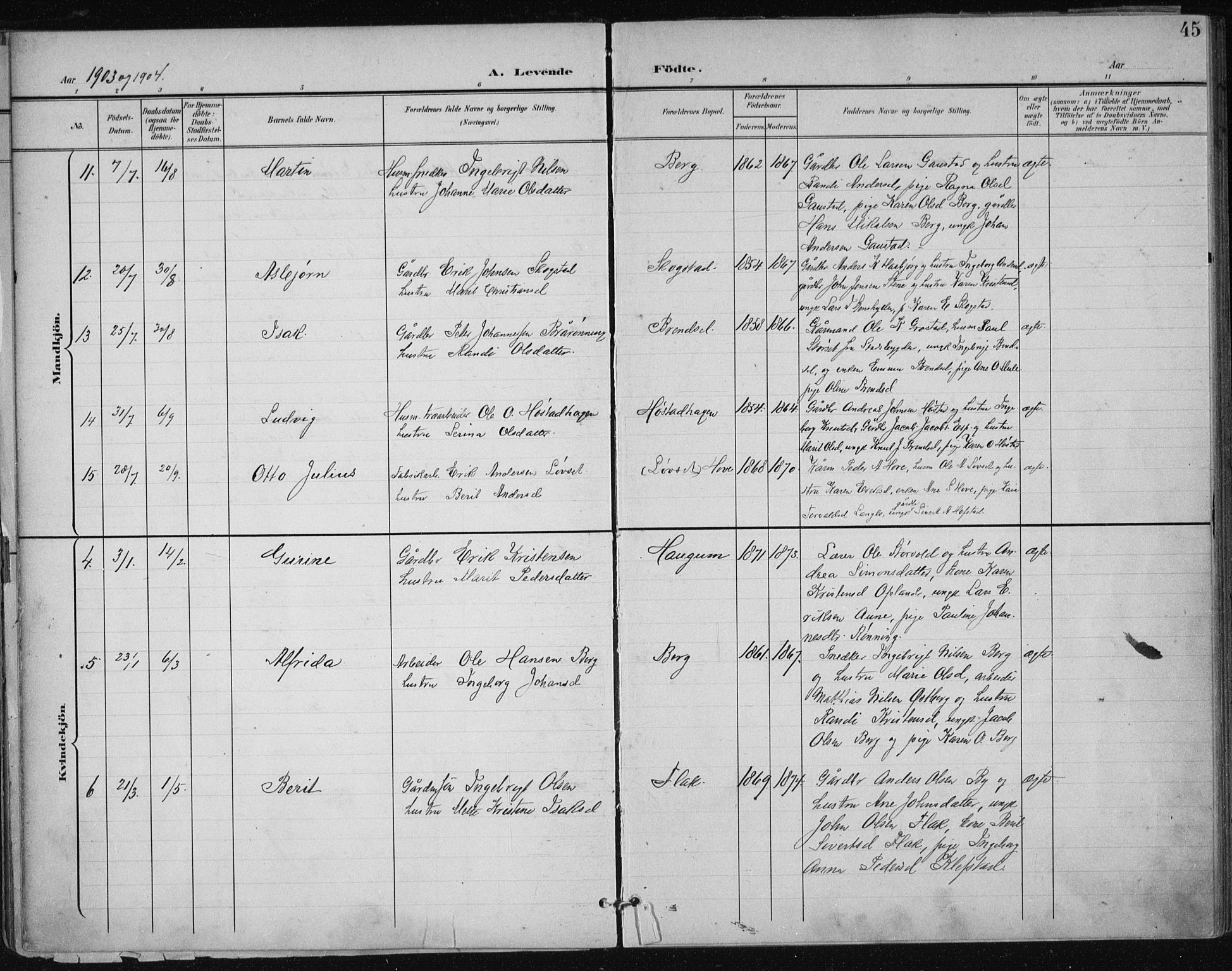 Ministerialprotokoller, klokkerbøker og fødselsregistre - Sør-Trøndelag, AV/SAT-A-1456/612/L0380: Ministerialbok nr. 612A12, 1898-1907, s. 45