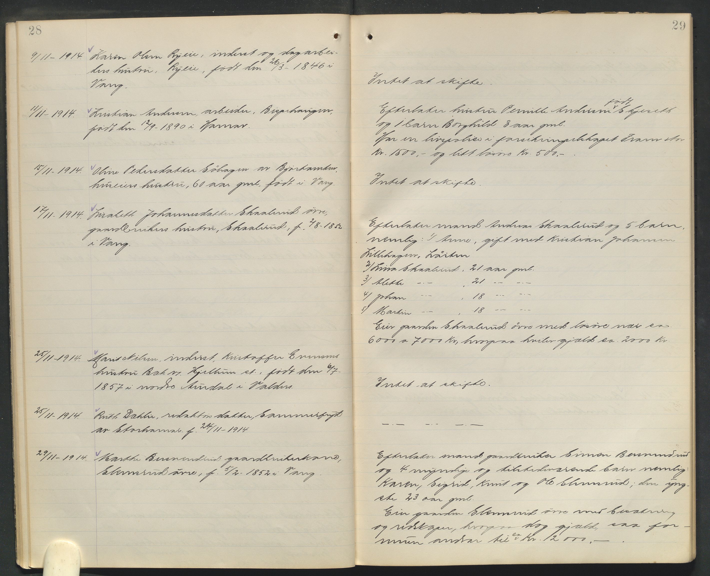Nord-Hedmark sorenskriveri, AV/SAH-TING-012/J/Ji/L0010: Dødsfallsprotokoll - Vang, 1913-1916, s. 28-29