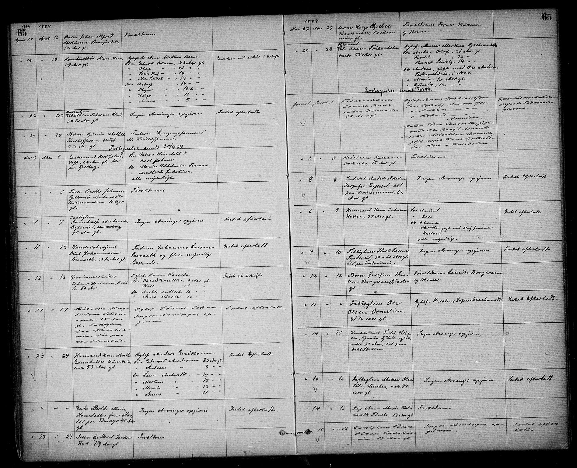 Eidsvoll lensmannskontor, AV/SAO-A-10266a/H/Ha/Haa/L0002: Dødsfallsprotokoll, 1871-1896, s. 65