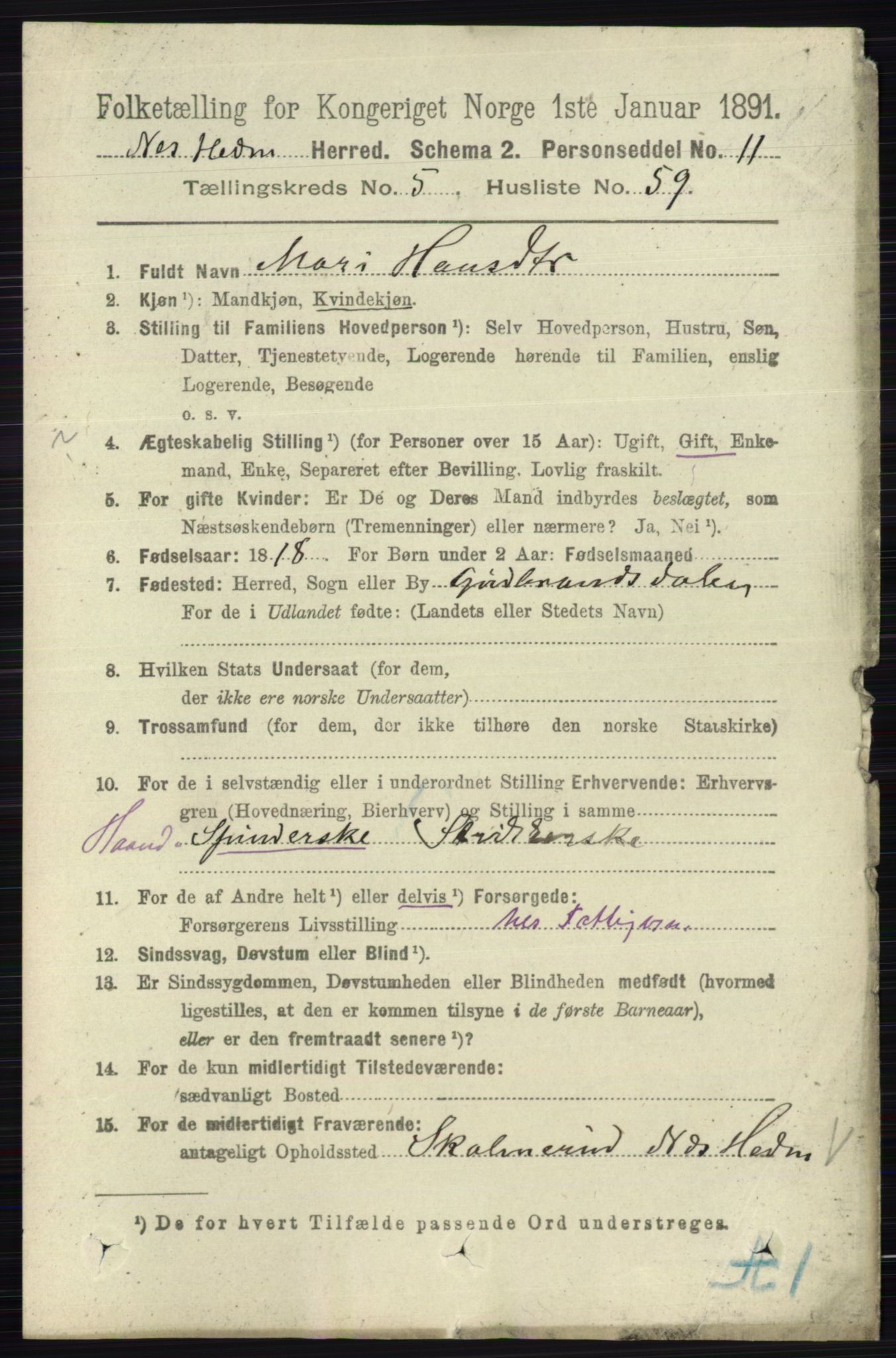 RA, Folketelling 1891 for 0411 Nes herred, 1891, s. 2989