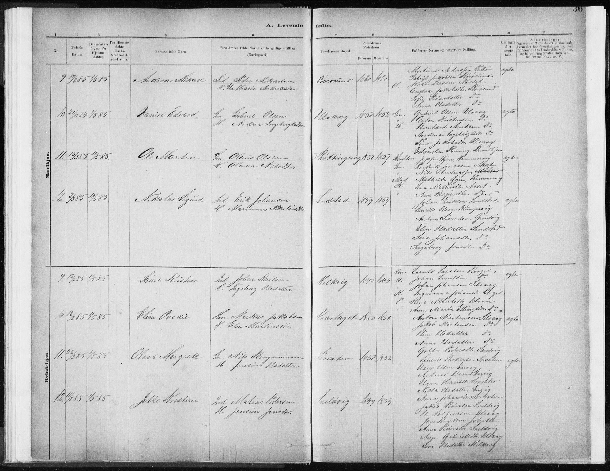 Ministerialprotokoller, klokkerbøker og fødselsregistre - Sør-Trøndelag, SAT/A-1456/637/L0558: Ministerialbok nr. 637A01, 1882-1899, s. 36