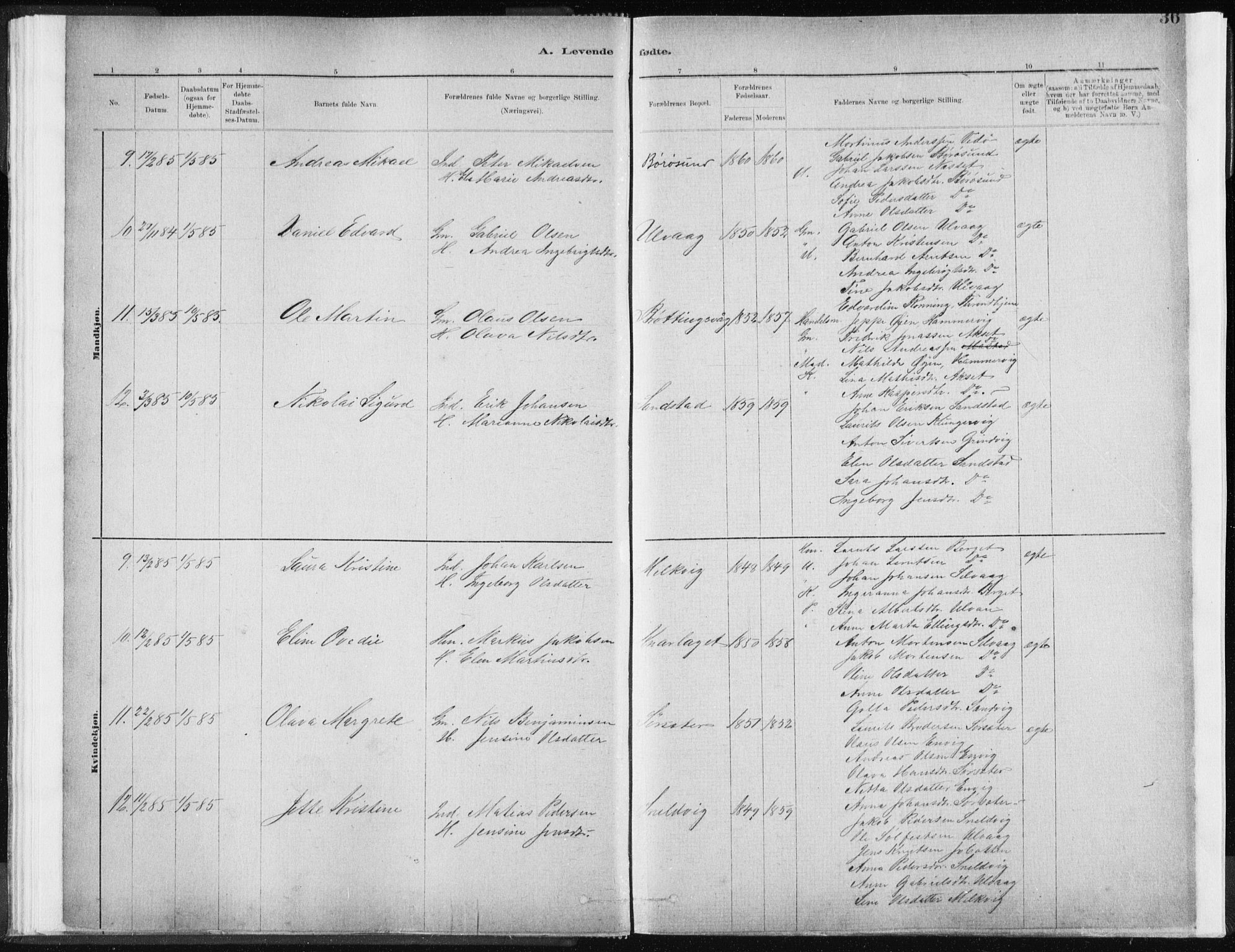 Ministerialprotokoller, klokkerbøker og fødselsregistre - Sør-Trøndelag, AV/SAT-A-1456/637/L0558: Ministerialbok nr. 637A01, 1882-1899, s. 36