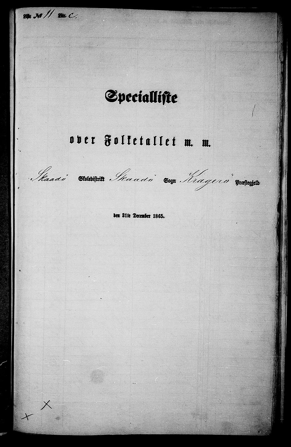RA, Folketelling 1865 for 0816L Kragerø prestegjeld, Sannidal sokn og Skåtøy sokn, 1865, s. 203