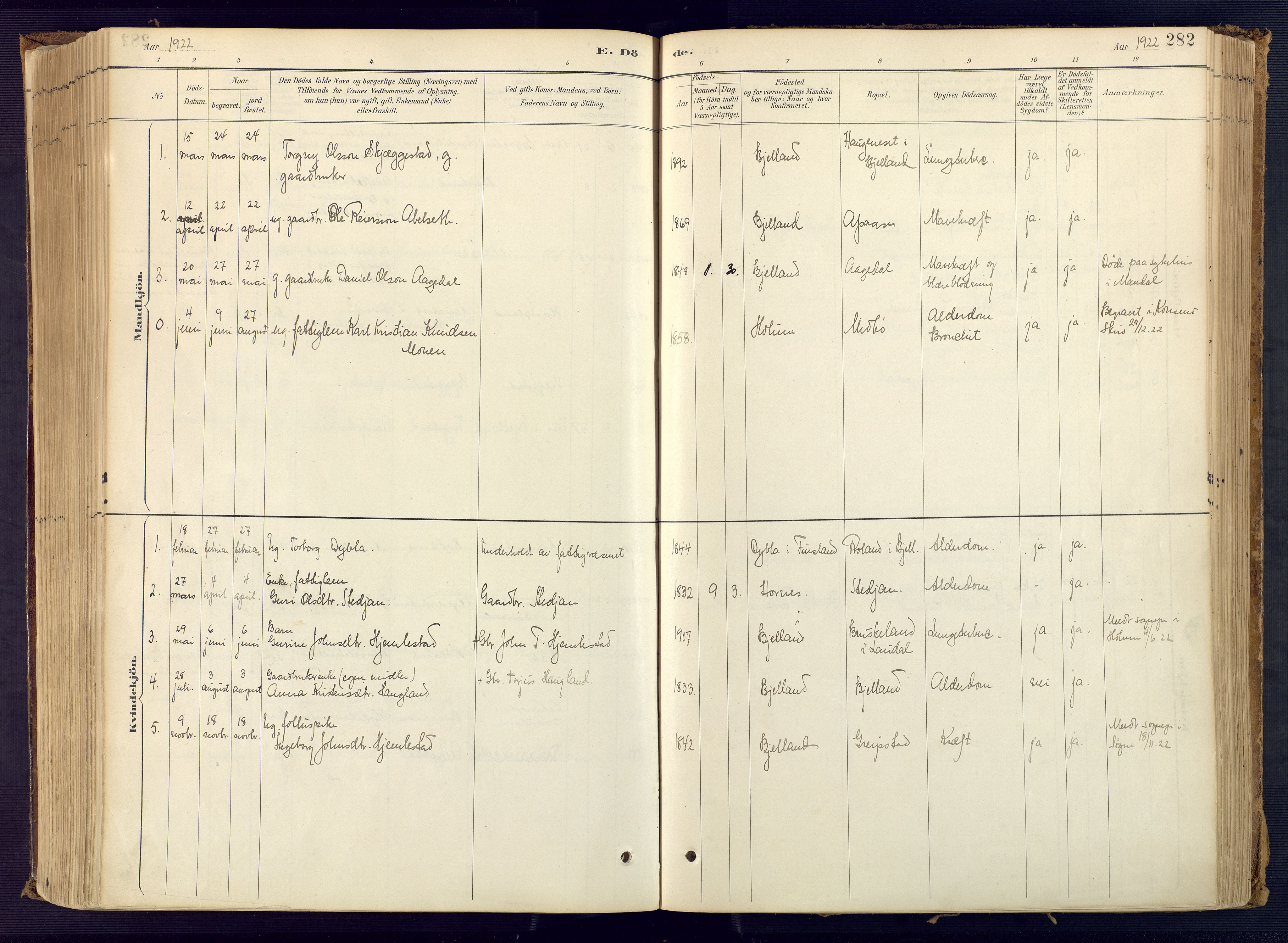 Bjelland sokneprestkontor, AV/SAK-1111-0005/F/Fa/Faa/L0004: Ministerialbok nr. A 4, 1887-1923, s. 282