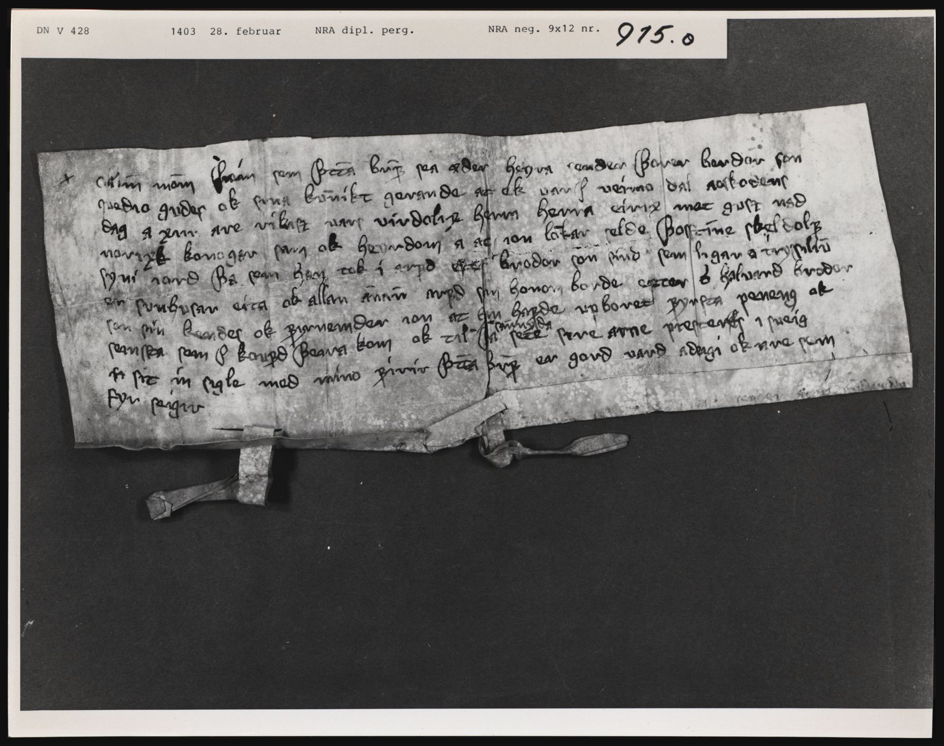 Riksarkivets diplomsamling, AV/RA-EA-5965/F01, 1337-1571, s. 2488