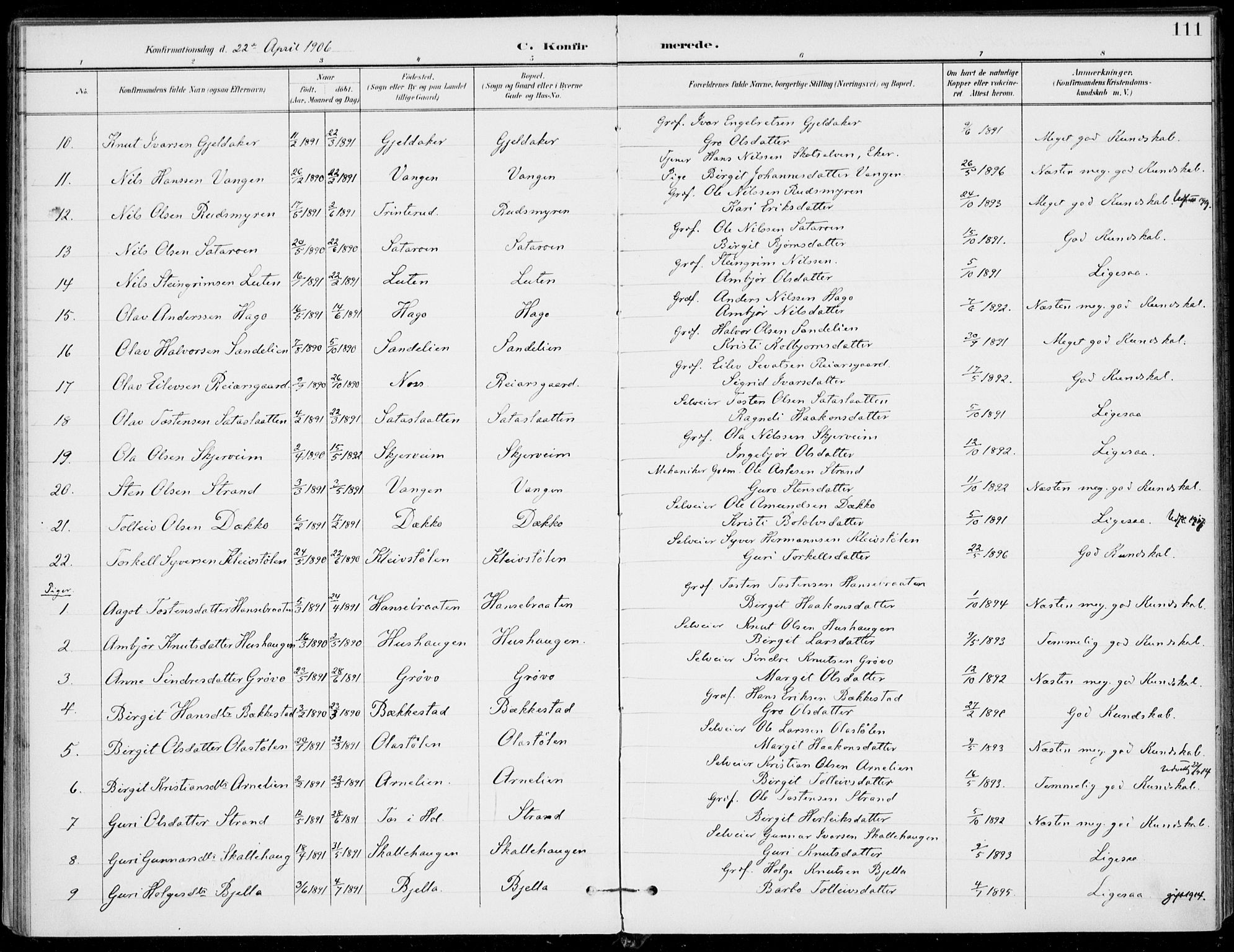 Ål kirkebøker, AV/SAKO-A-249/F/Fa/L0009: Ministerialbok nr. I 9, 1897-1915, s. 111