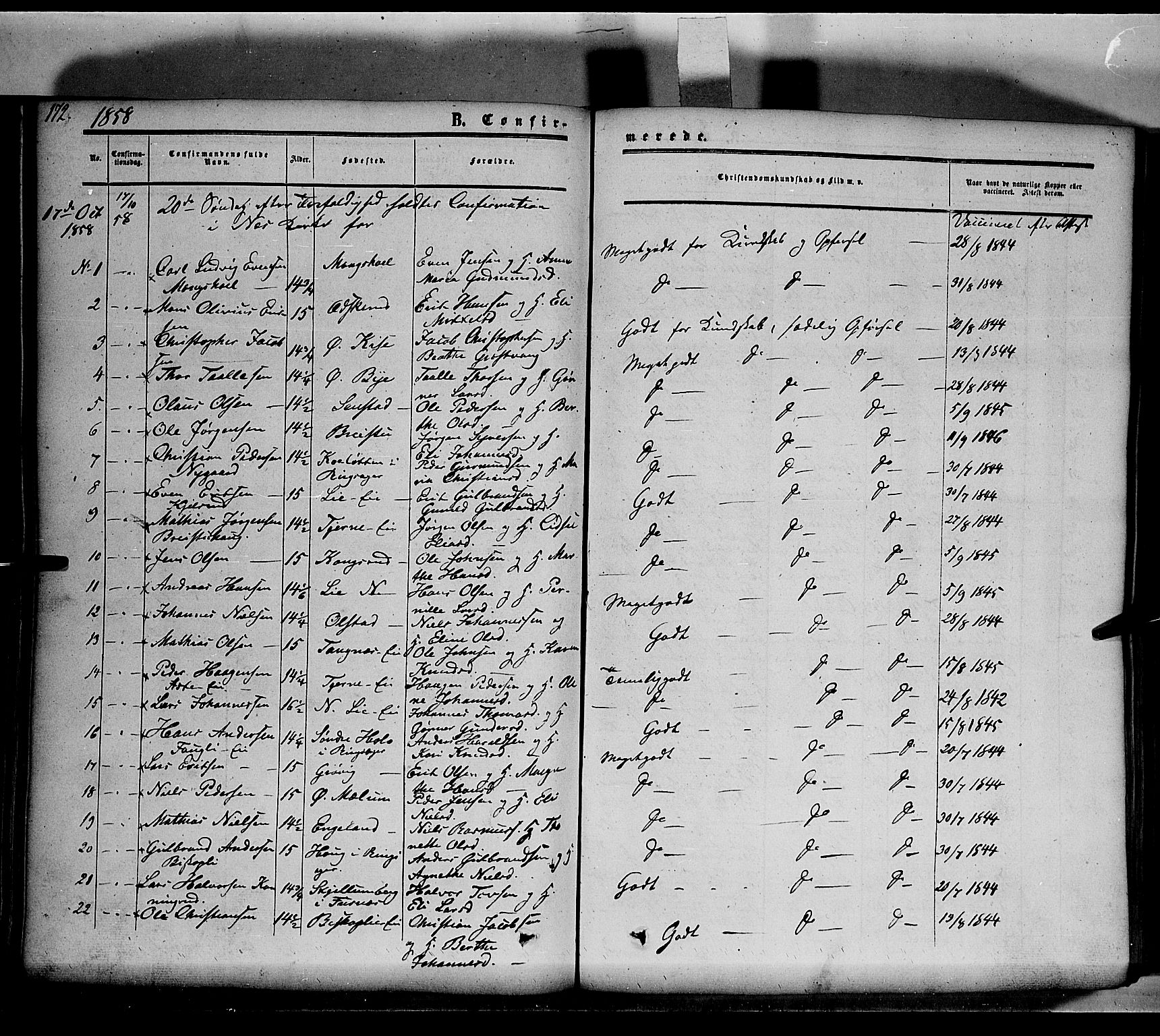 Nes prestekontor, Hedmark, AV/SAH-PREST-020/K/Ka/L0004: Ministerialbok nr. 4, 1852-1886, s. 172