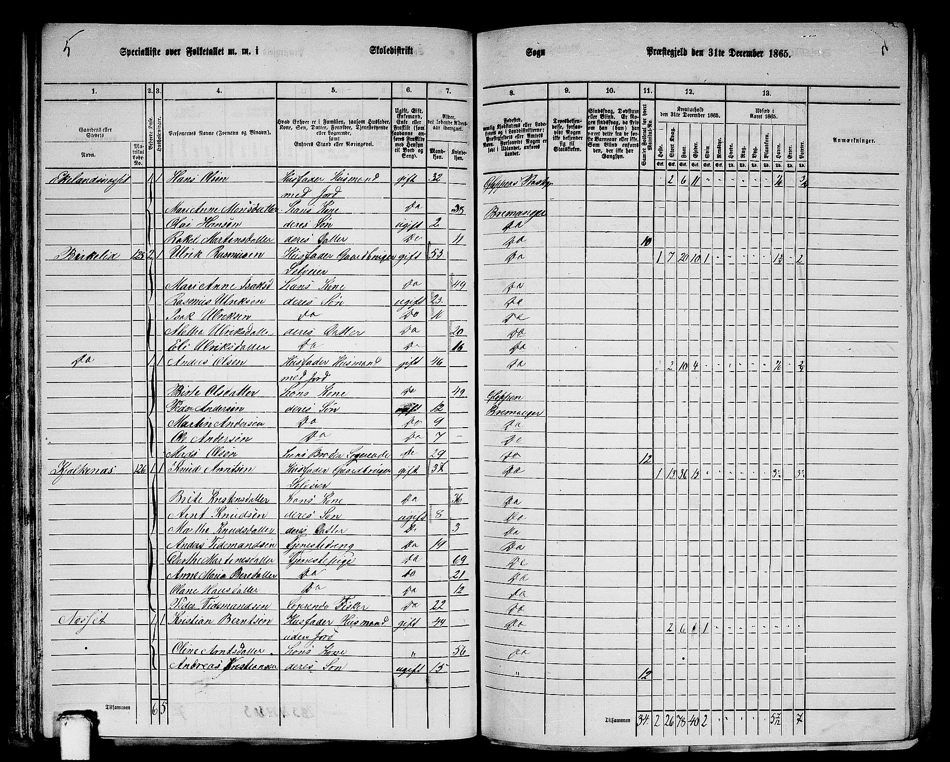 RA, Folketelling 1865 for 1438P Bremanger prestegjeld, 1865, s. 67