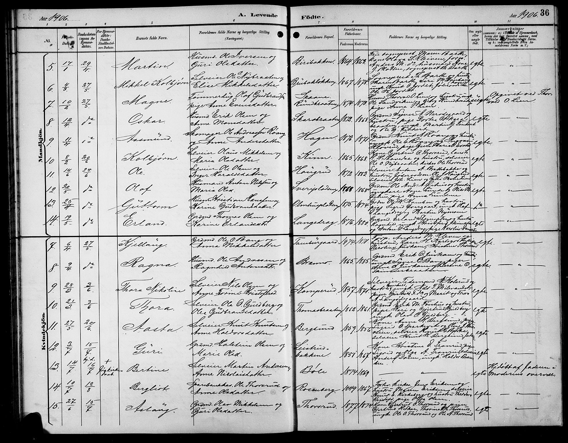 Sør-Aurdal prestekontor, AV/SAH-PREST-128/H/Ha/Hab/L0009: Klokkerbok nr. 9, 1894-1924, s. 36