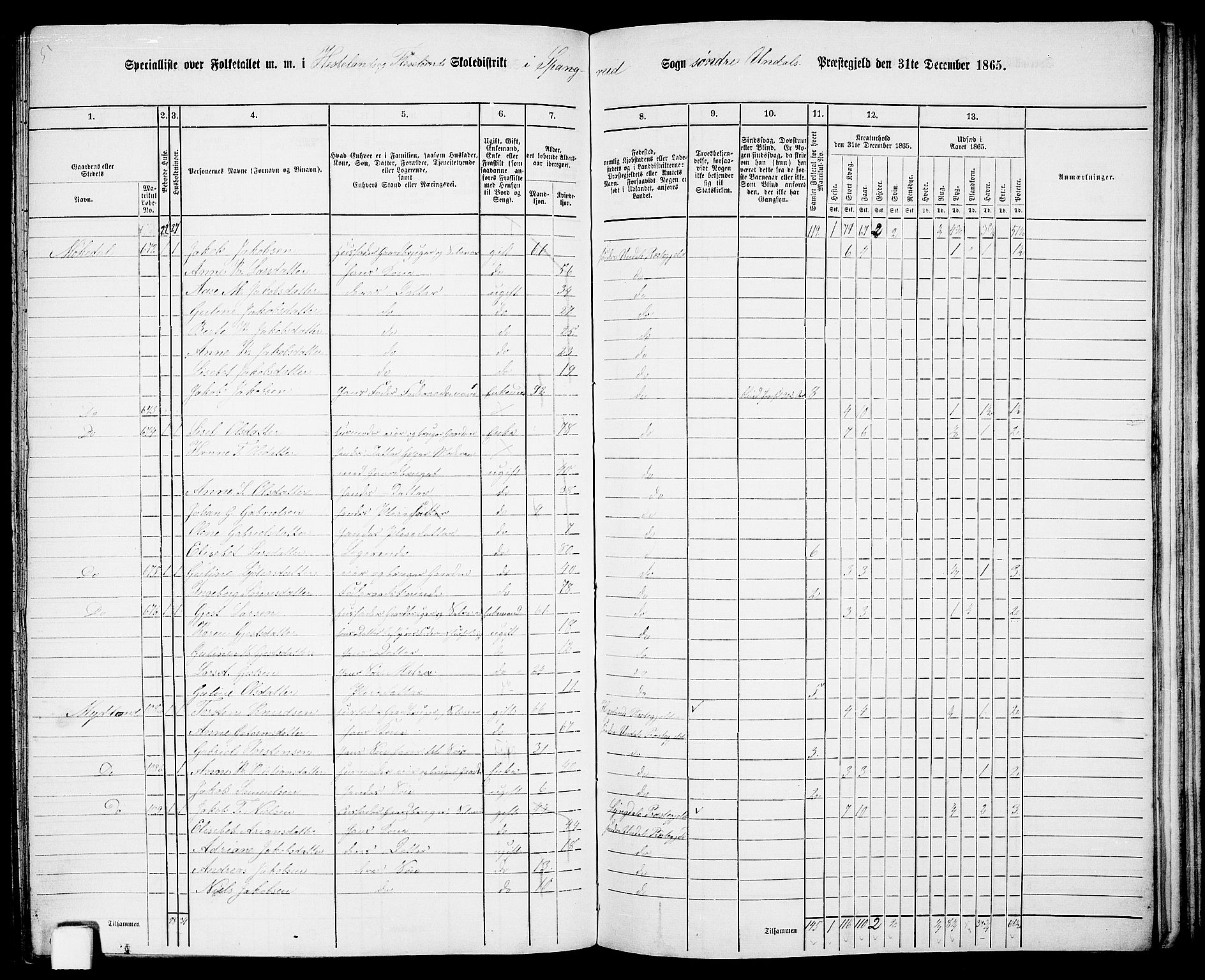 RA, Folketelling 1865 for 1029P Sør-Audnedal prestegjeld, 1865, s. 155