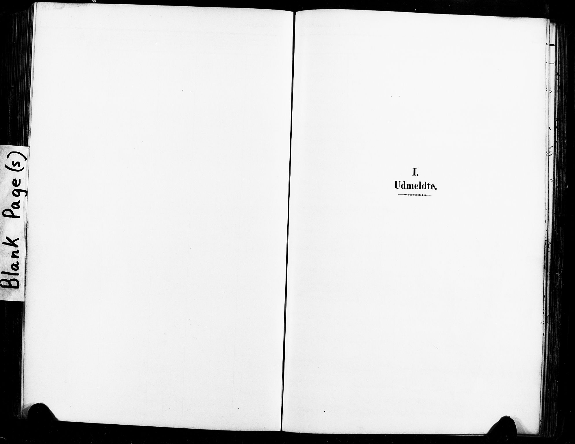 Ministerialprotokoller, klokkerbøker og fødselsregistre - Sør-Trøndelag, AV/SAT-A-1456/604/L0198: Ministerialbok nr. 604A19, 1893-1900