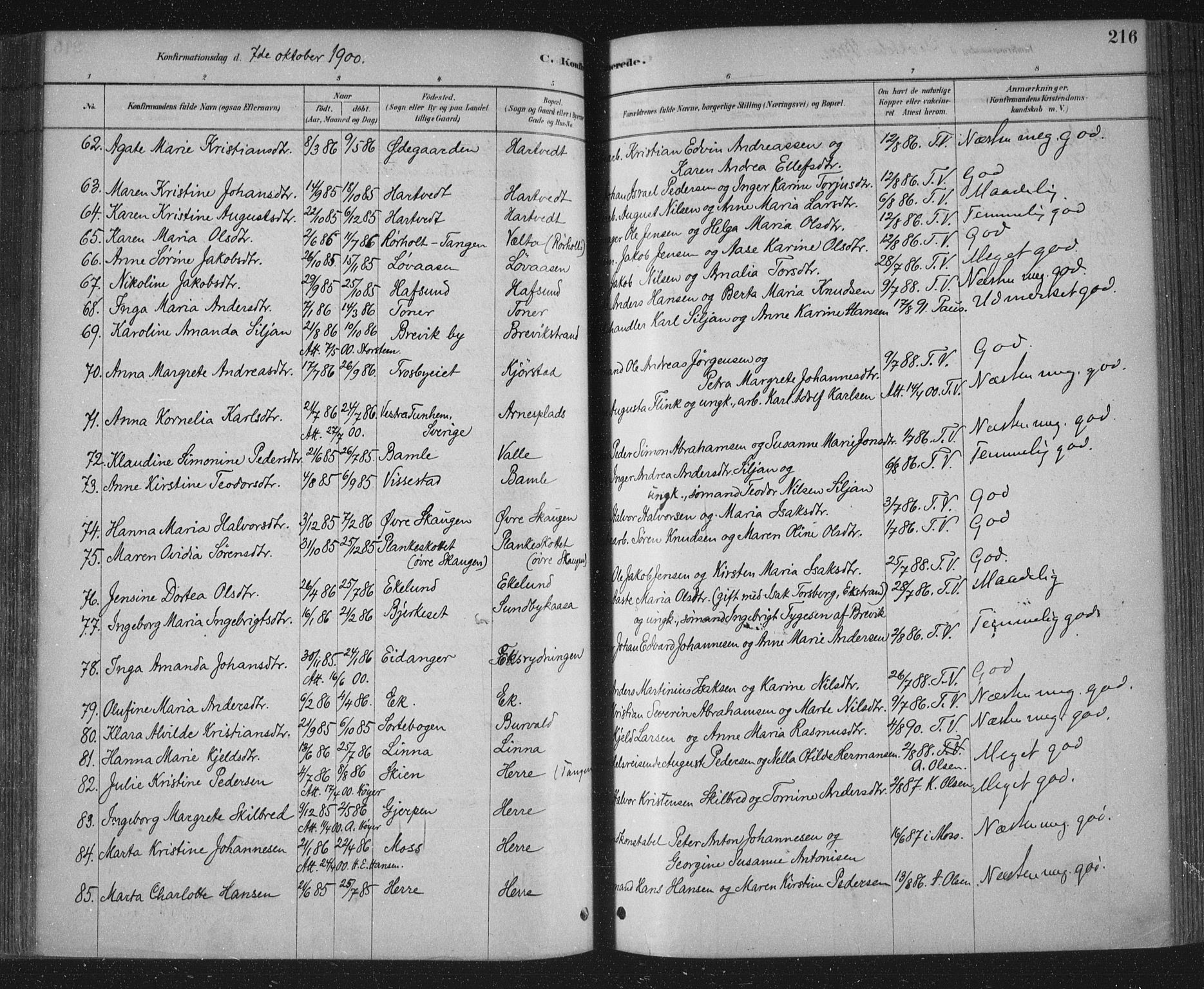 Bamble kirkebøker, AV/SAKO-A-253/F/Fa/L0007: Ministerialbok nr. I 7, 1878-1888, s. 216