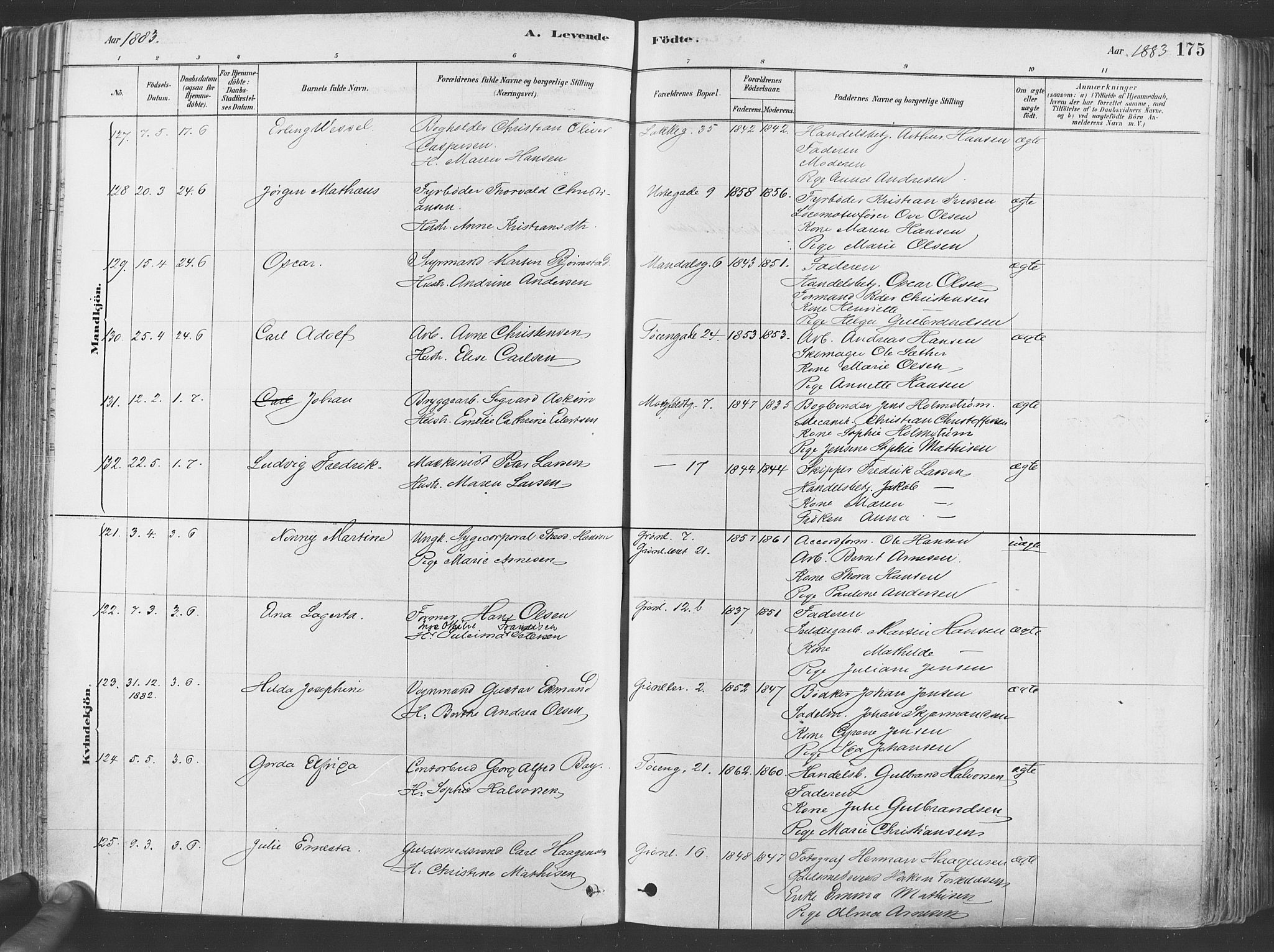 Grønland prestekontor Kirkebøker, SAO/A-10848/F/Fa/L0007: Ministerialbok nr. 7, 1878-1888, s. 175