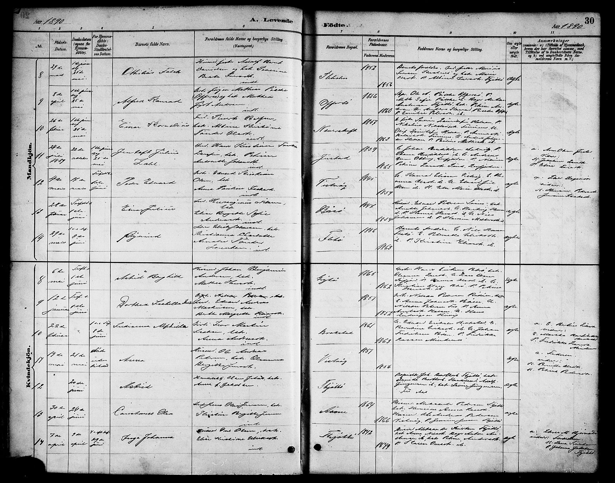 Ministerialprotokoller, klokkerbøker og fødselsregistre - Nordland, AV/SAT-A-1459/817/L0268: Klokkerbok nr. 817C03, 1884-1920, s. 30