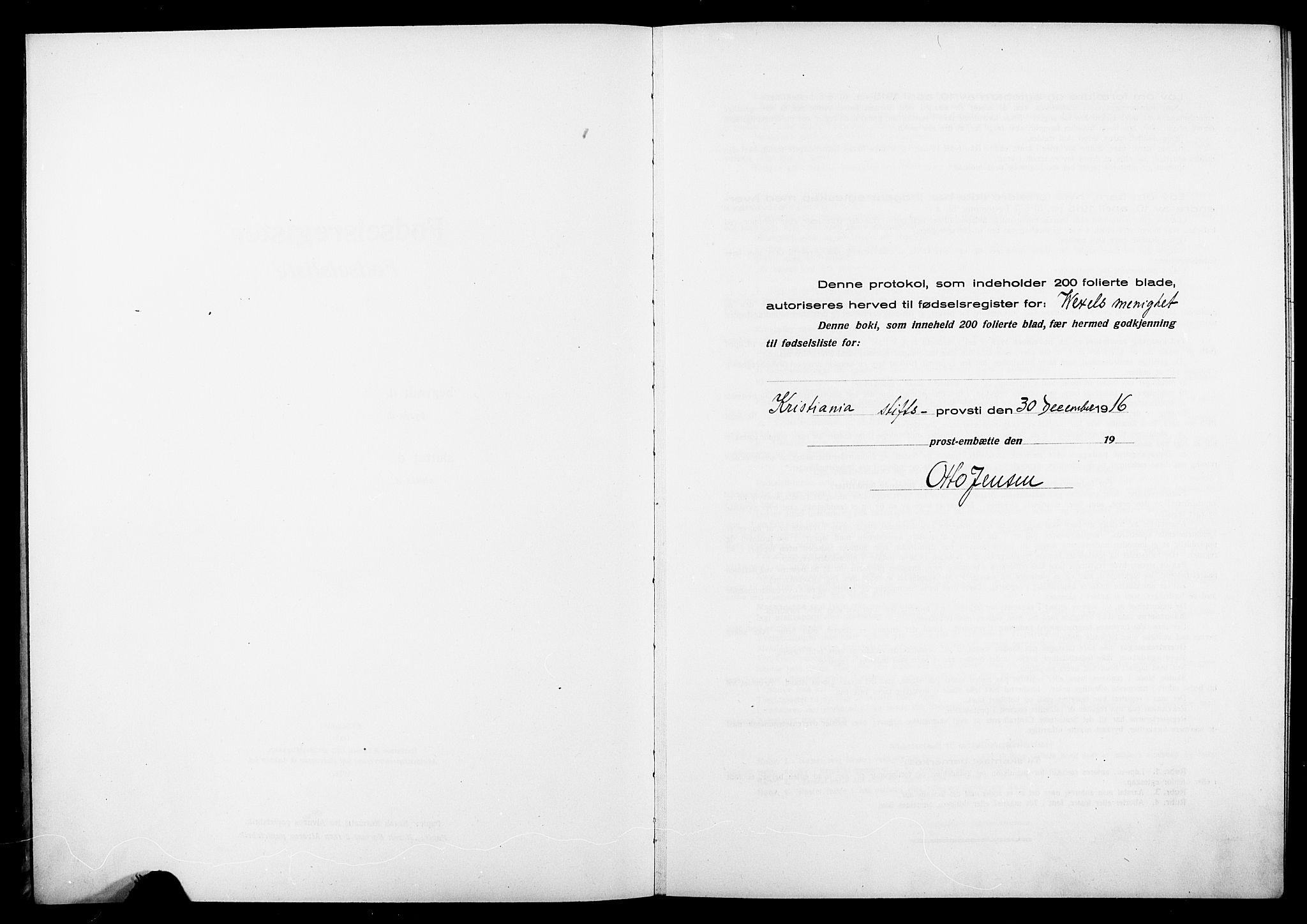 Wexel prestekontor Kirkebøker, SAO/A-10879/J/L0001: Fødselsregister nr. 1, 1916-1930