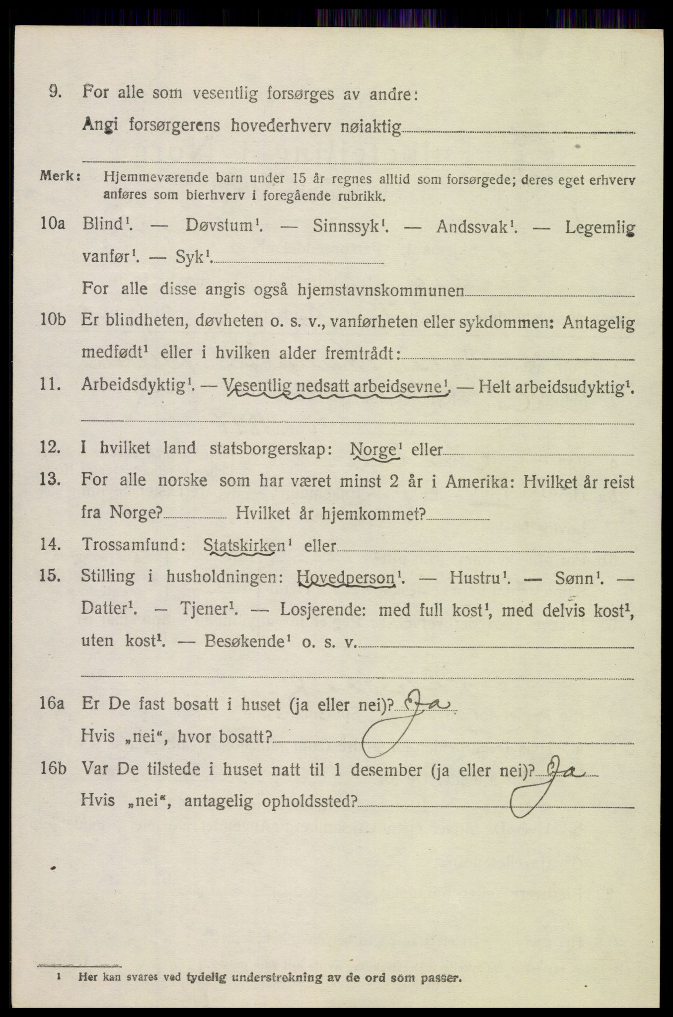 SAH, Folketelling 1920 for 0516 Heidal herred, 1920, s. 2547