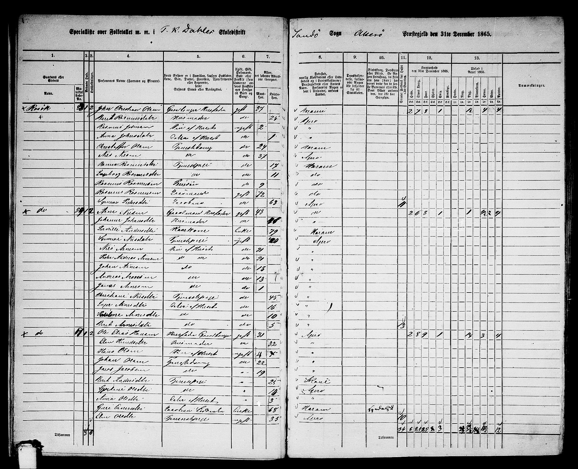 RA, Folketelling 1865 for 1545P Aukra prestegjeld, 1865, s. 13