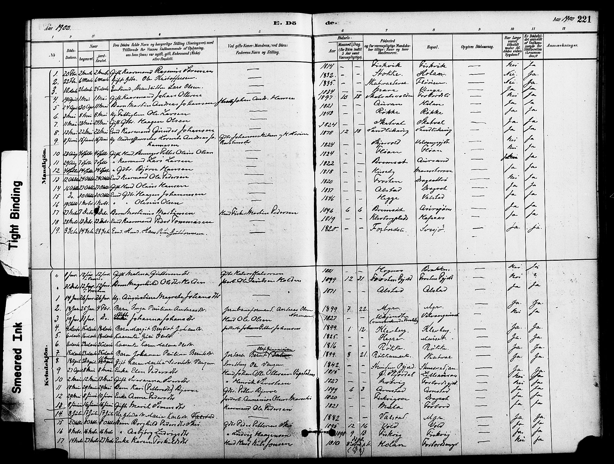 Ministerialprotokoller, klokkerbøker og fødselsregistre - Nord-Trøndelag, SAT/A-1458/712/L0100: Ministerialbok nr. 712A01, 1880-1900, s. 221