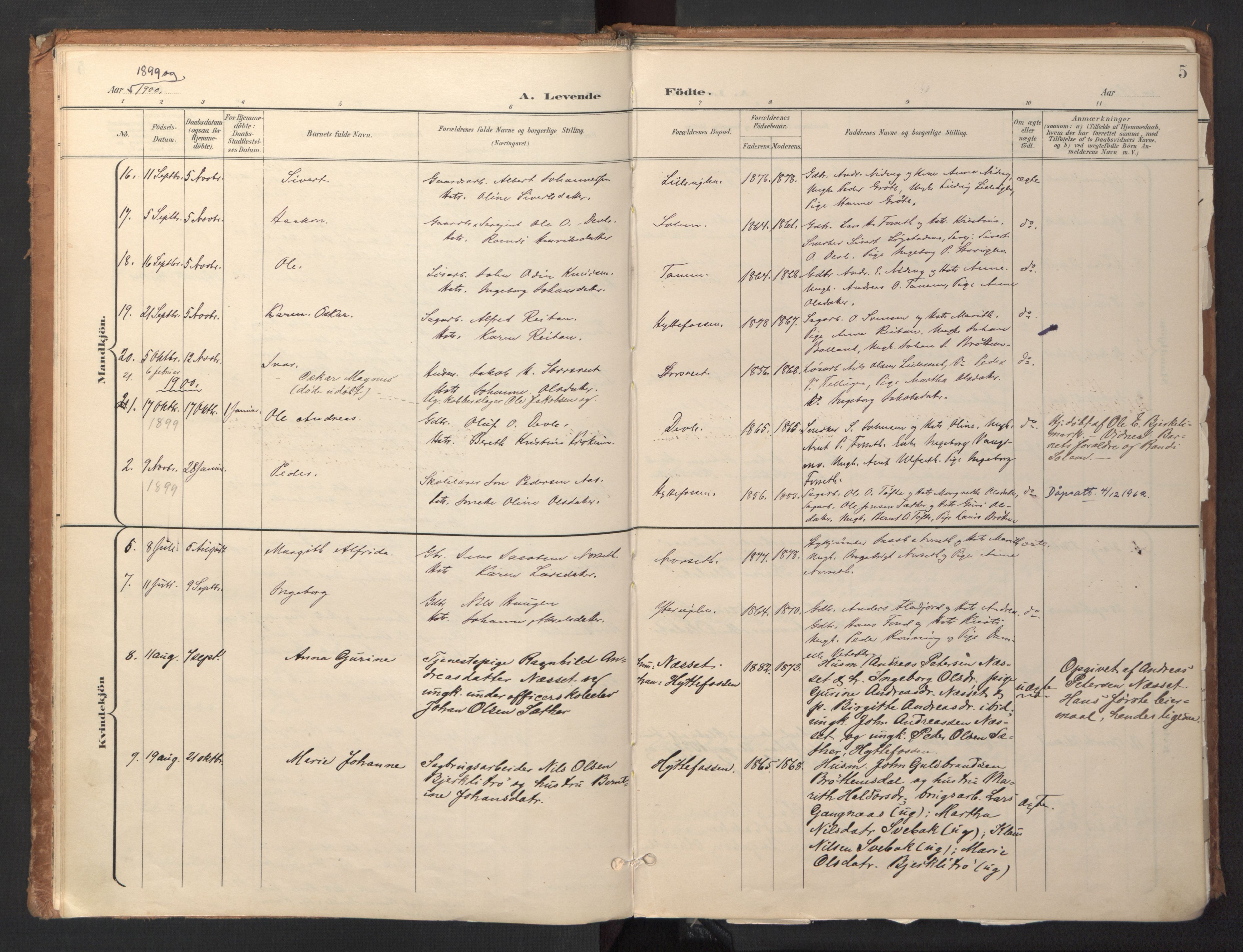 Ministerialprotokoller, klokkerbøker og fødselsregistre - Sør-Trøndelag, AV/SAT-A-1456/618/L0448: Ministerialbok nr. 618A11, 1898-1916, s. 5