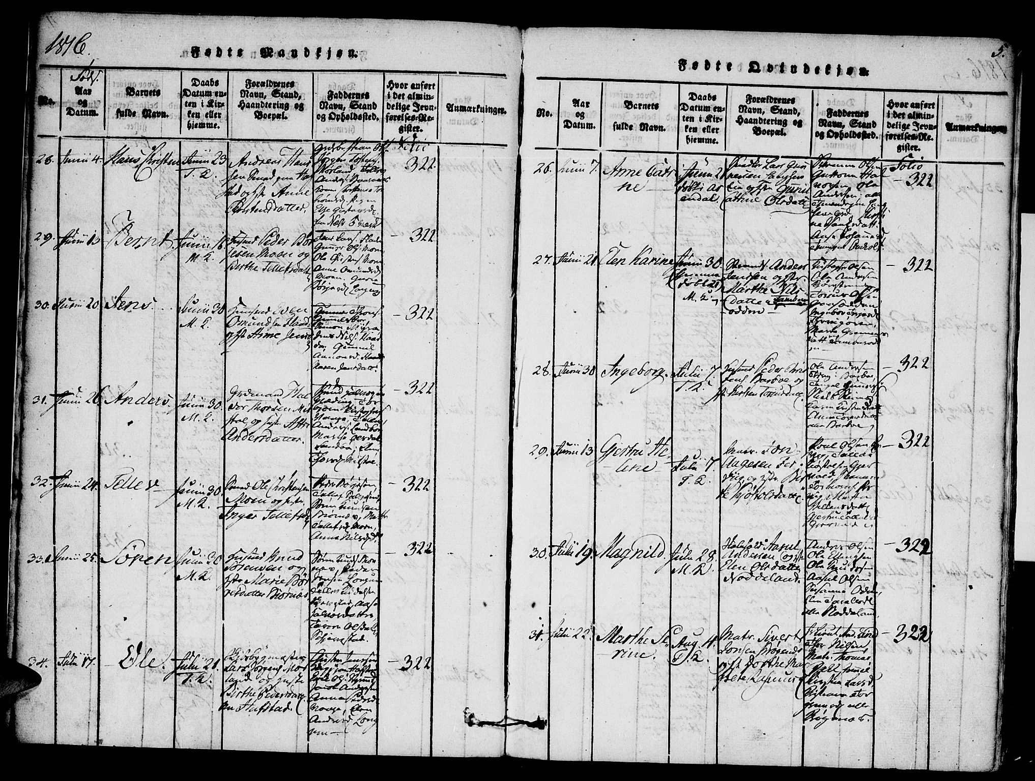 Austre Moland sokneprestkontor, AV/SAK-1111-0001/F/Fa/Faa/L0004: Ministerialbok nr. A 4, 1816-1824, s. 5