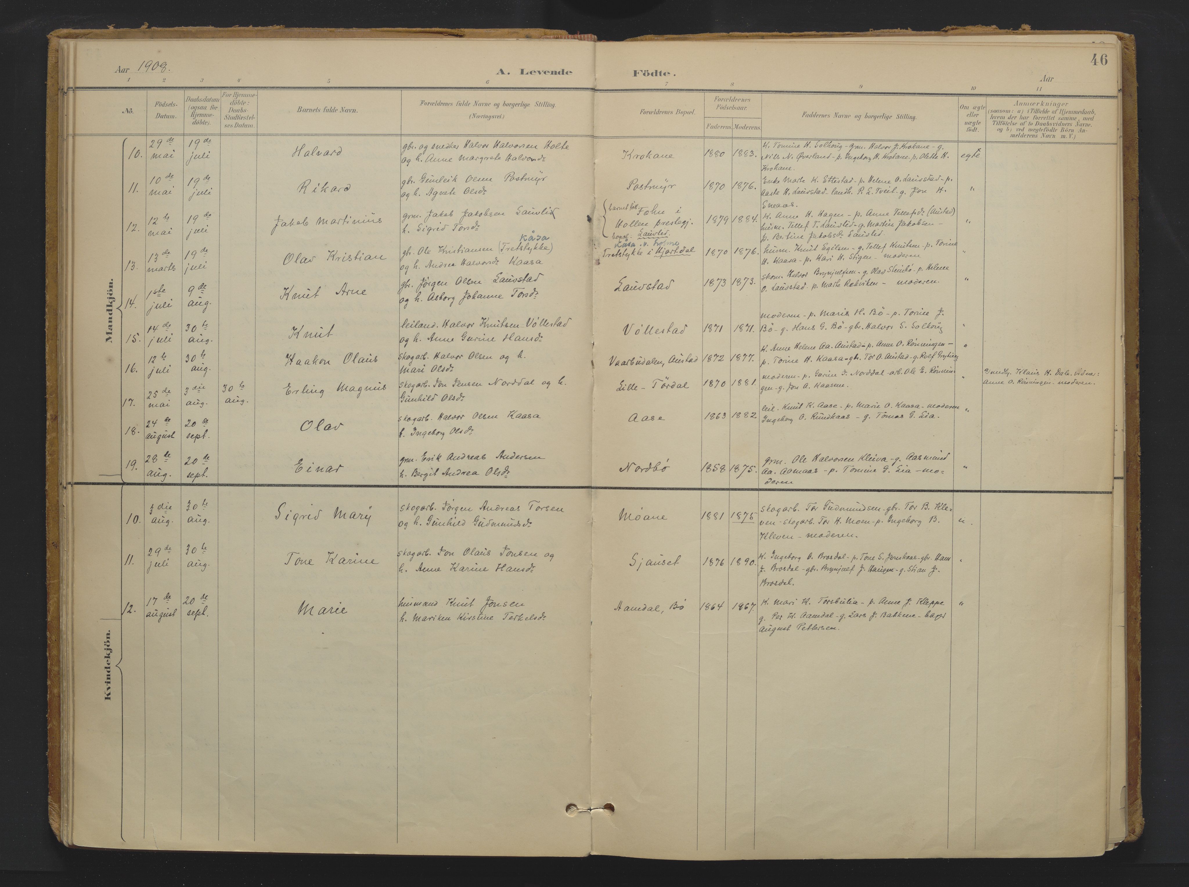 Drangedal kirkebøker, SAKO/A-258/F/Fa/L0013: Ministerialbok nr. 13, 1895-1919, s. 46