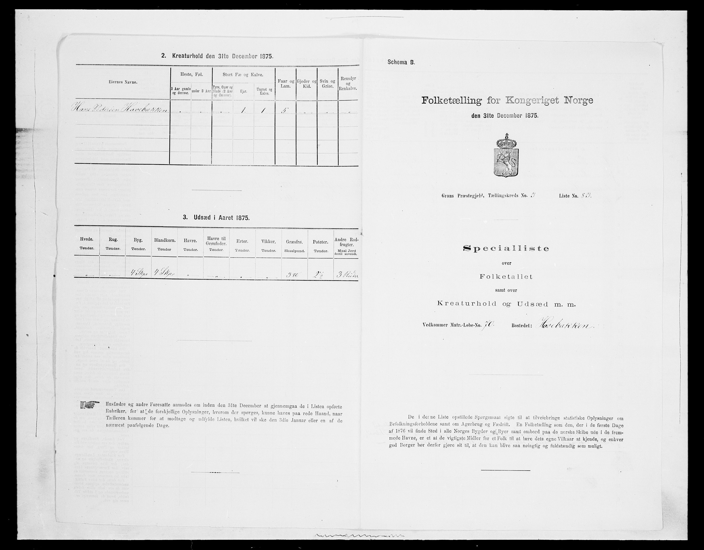 SAH, Folketelling 1875 for 0534P Gran prestegjeld, 1875, s. 540