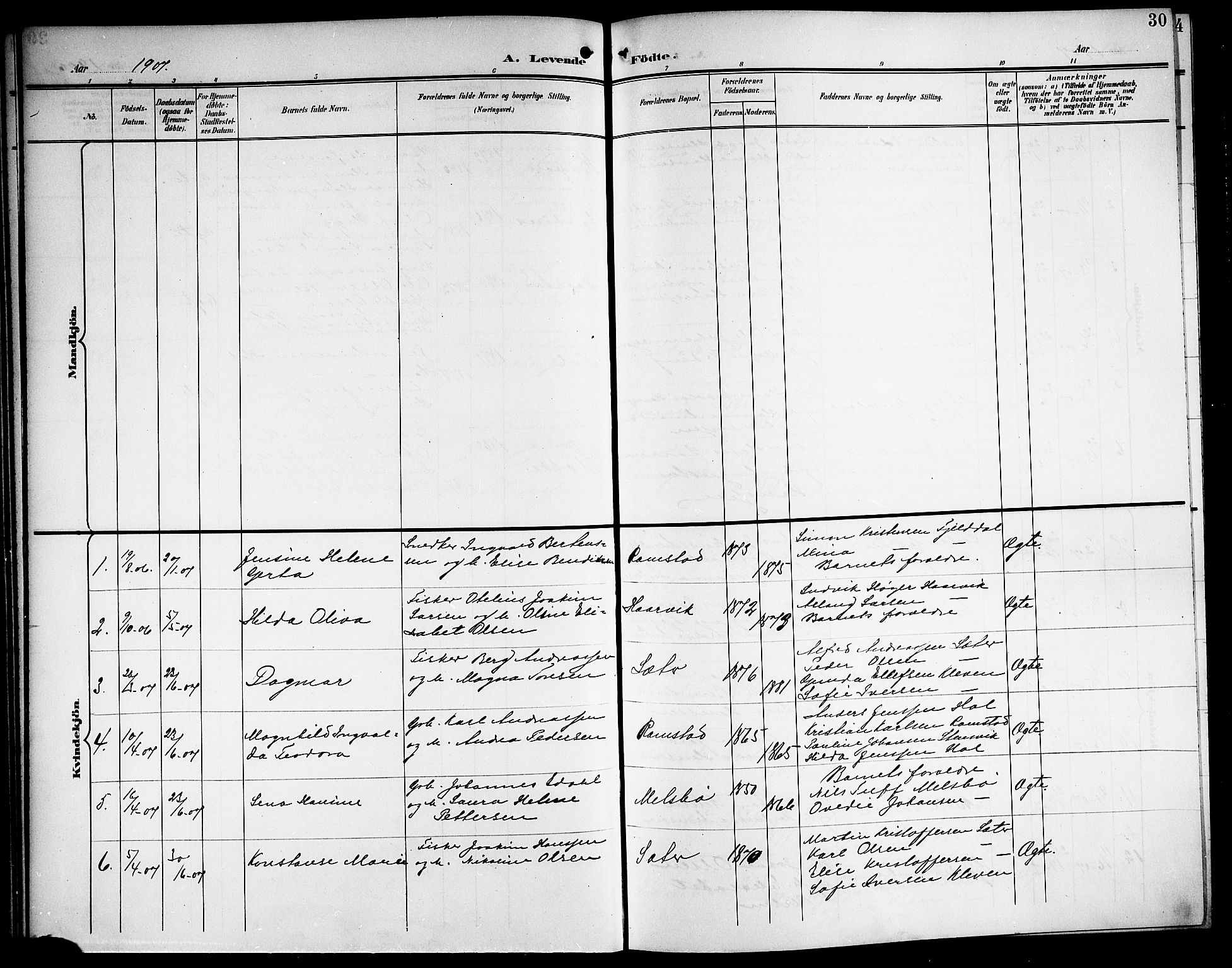 Ministerialprotokoller, klokkerbøker og fødselsregistre - Nordland, AV/SAT-A-1459/865/L0932: Klokkerbok nr. 865C04, 1901-1917, s. 30