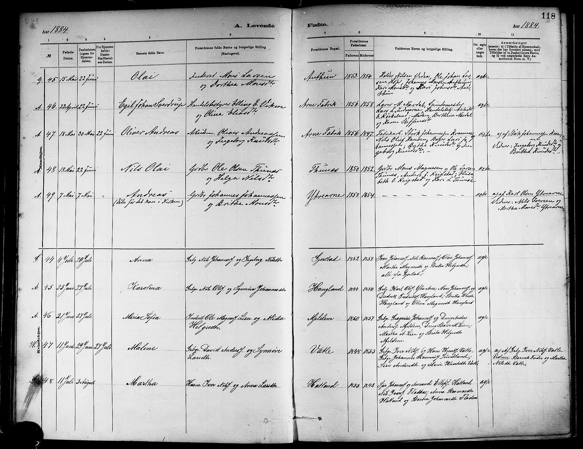 Haus sokneprestembete, SAB/A-75601/H/Haa: Ministerialbok nr. A 19I, 1878-1886, s. 118