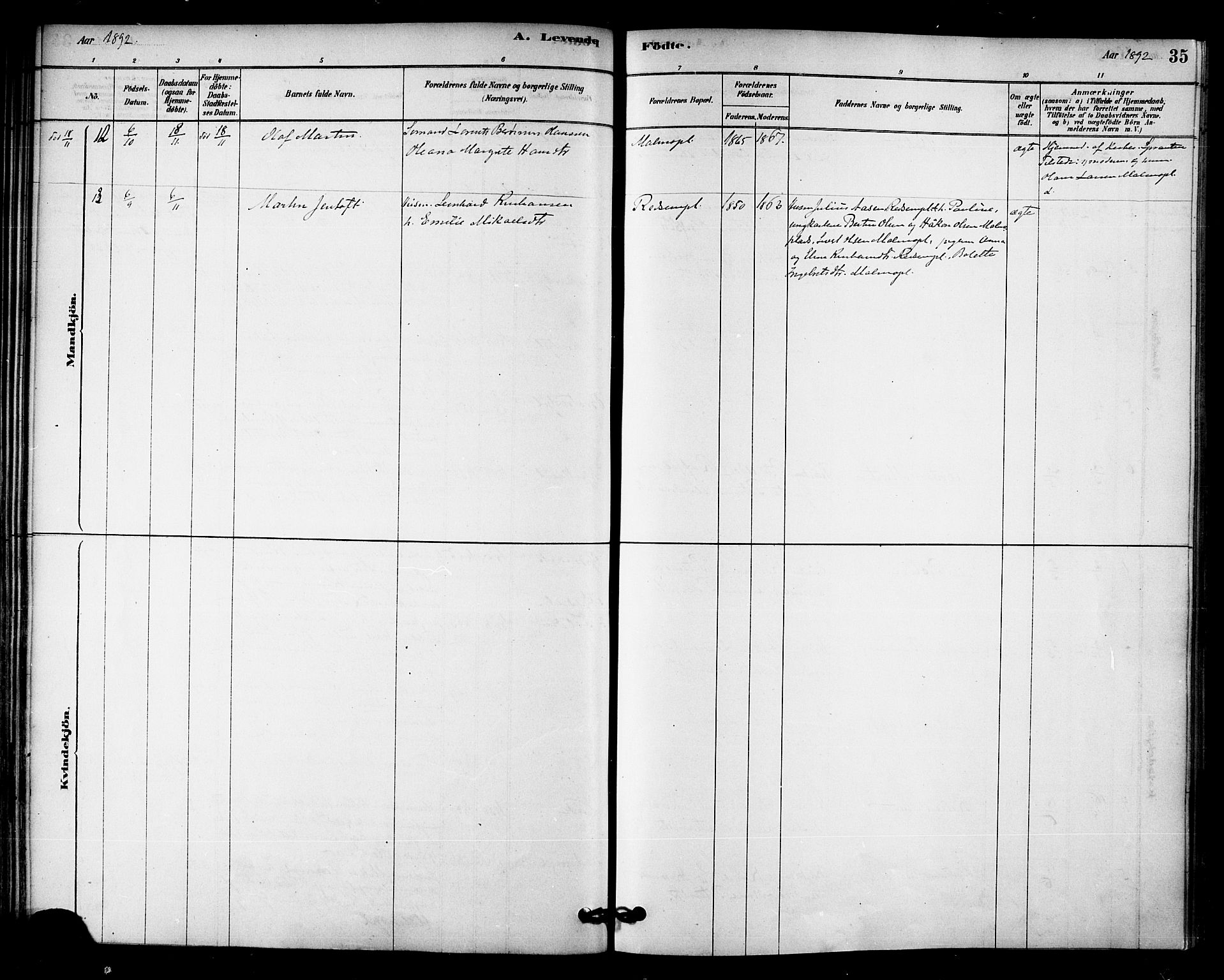 Ministerialprotokoller, klokkerbøker og fødselsregistre - Nord-Trøndelag, AV/SAT-A-1458/745/L0429: Ministerialbok nr. 745A01, 1878-1894, s. 35