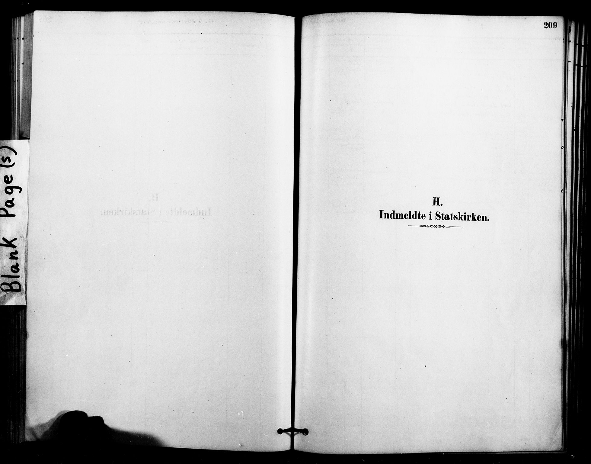 Ministerialprotokoller, klokkerbøker og fødselsregistre - Nordland, SAT/A-1459/897/L1399: Ministerialbok nr. 897C06, 1881-1896, s. 209