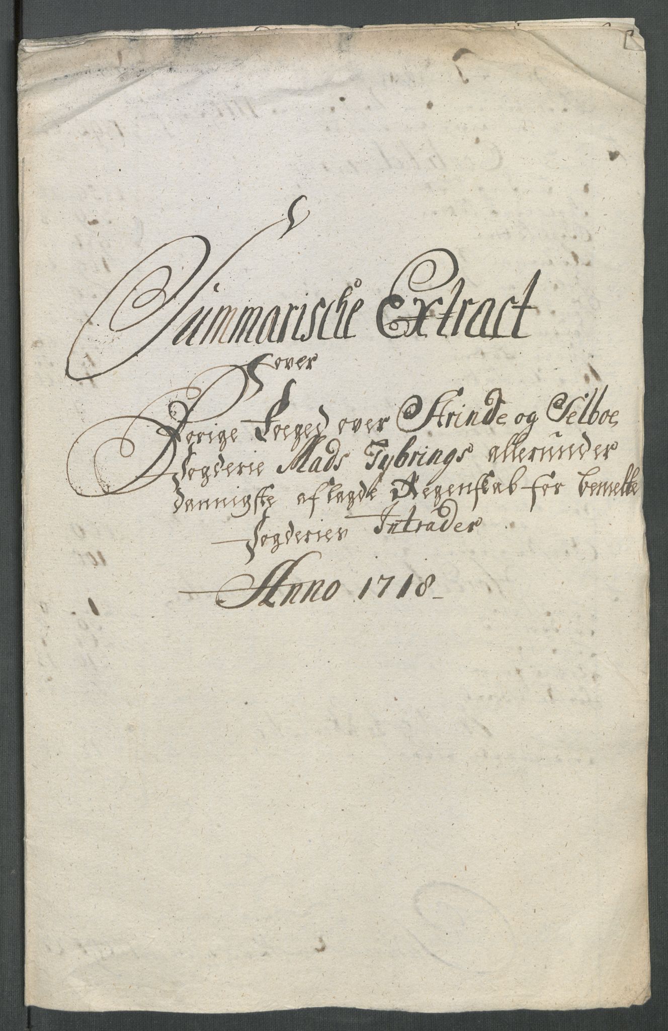Rentekammeret inntil 1814, Reviderte regnskaper, Fogderegnskap, RA/EA-4092/R61/L4116: Fogderegnskap Strinda og Selbu, 1717-1718, s. 292