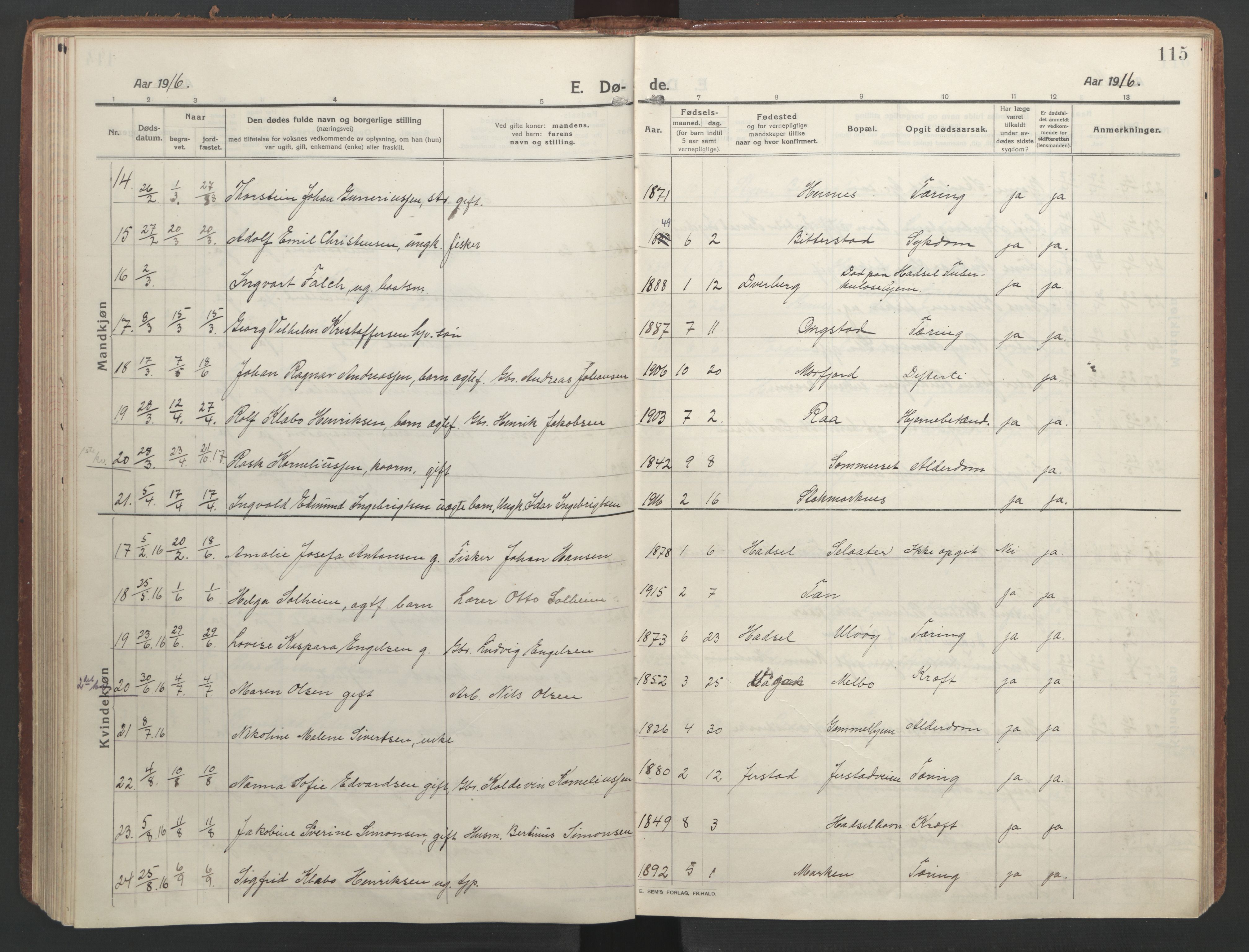 Ministerialprotokoller, klokkerbøker og fødselsregistre - Nordland, AV/SAT-A-1459/888/L1251: Ministerialbok nr. 888A17, 1913-1925, s. 115