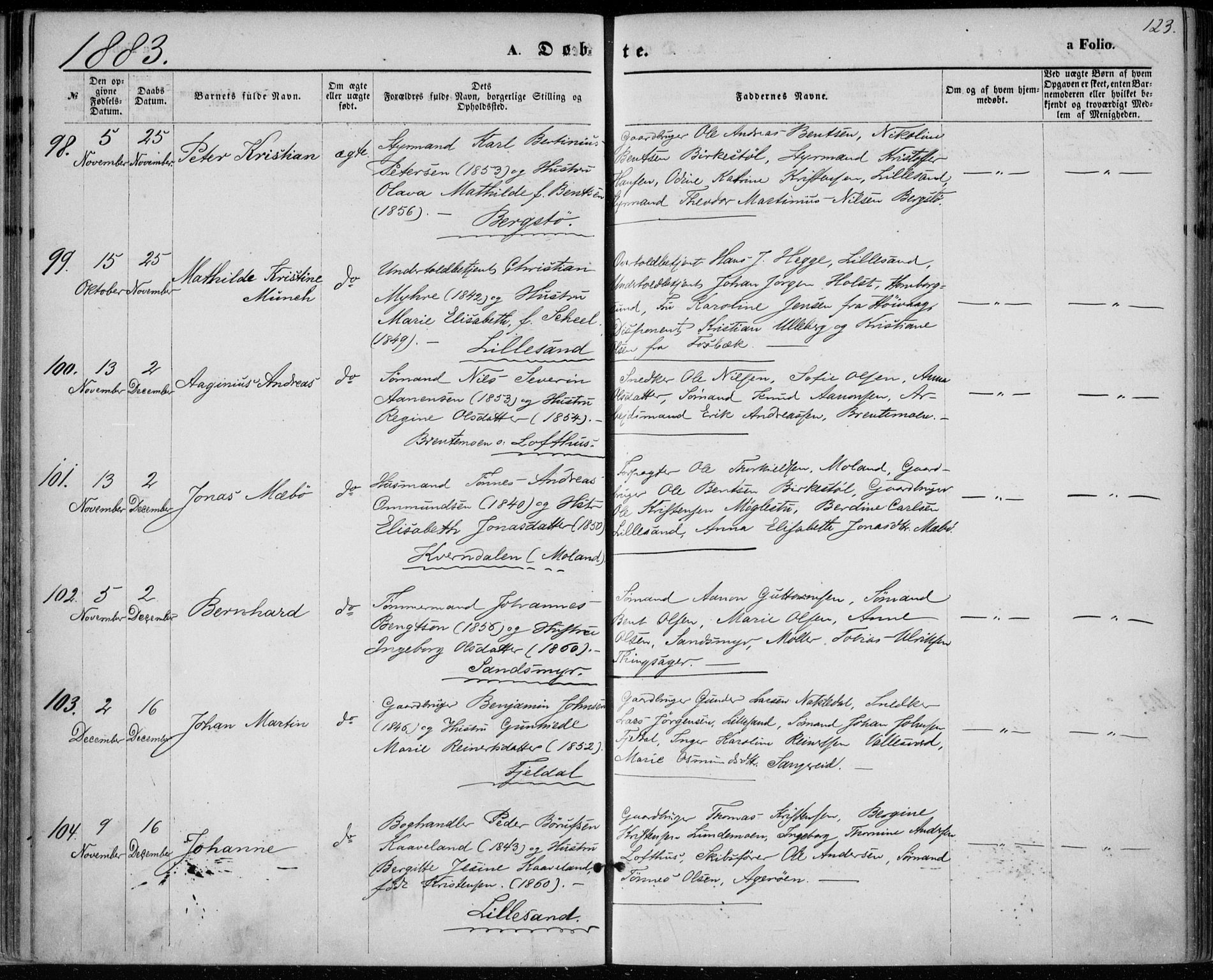 Vestre Moland sokneprestkontor, AV/SAK-1111-0046/F/Fa/Fab/L0008: Ministerialbok nr. A 8, 1873-1883, s. 123