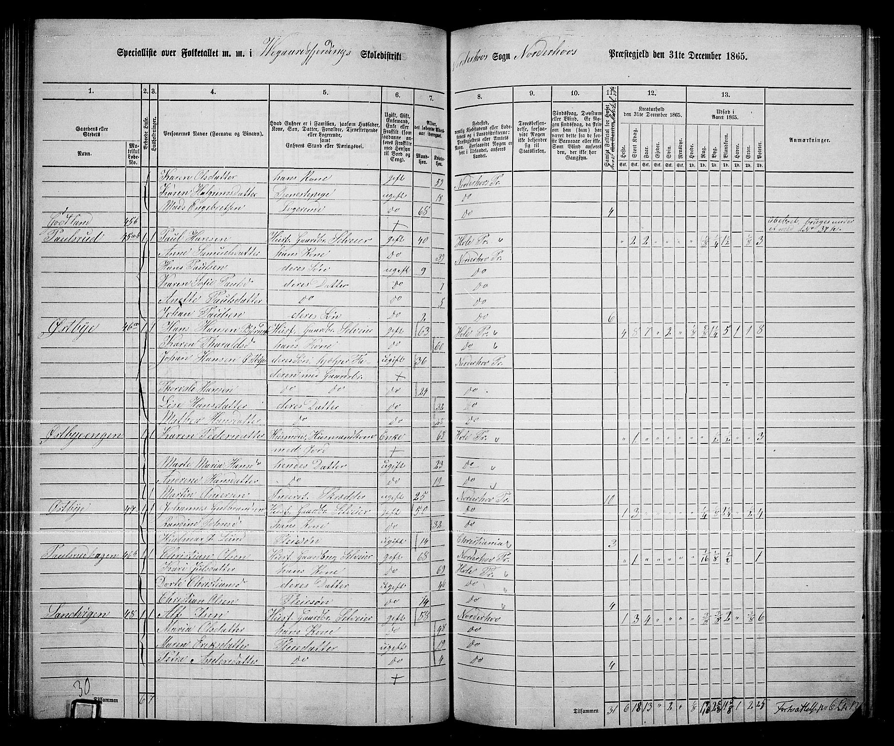 RA, Folketelling 1865 for 0613L Norderhov prestegjeld, Norderhov sokn, Haug sokn og Lunder sokn, 1865, s. 125