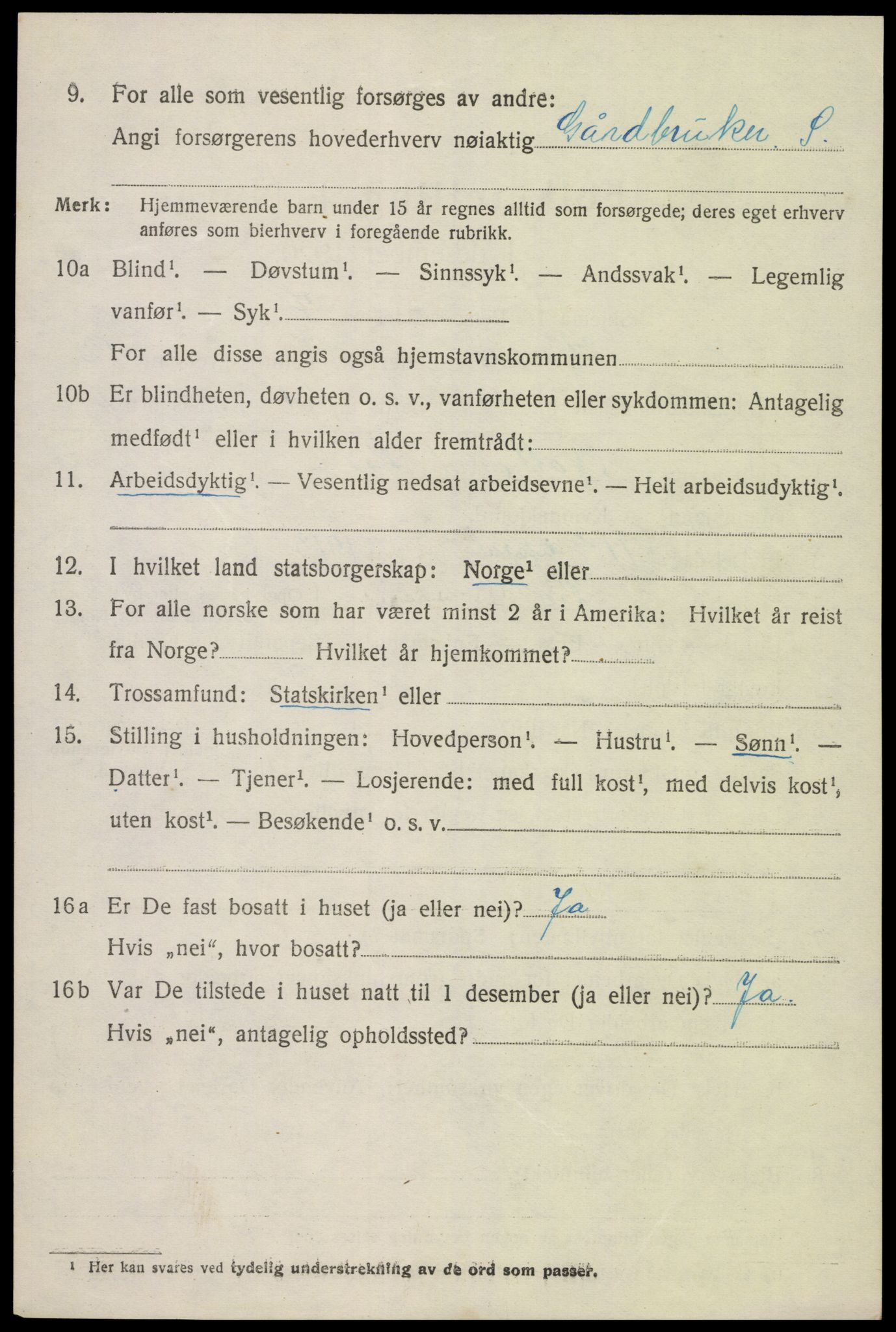 SAK, Folketelling 1920 for 0936 Hornnes herred, 1920, s. 3040