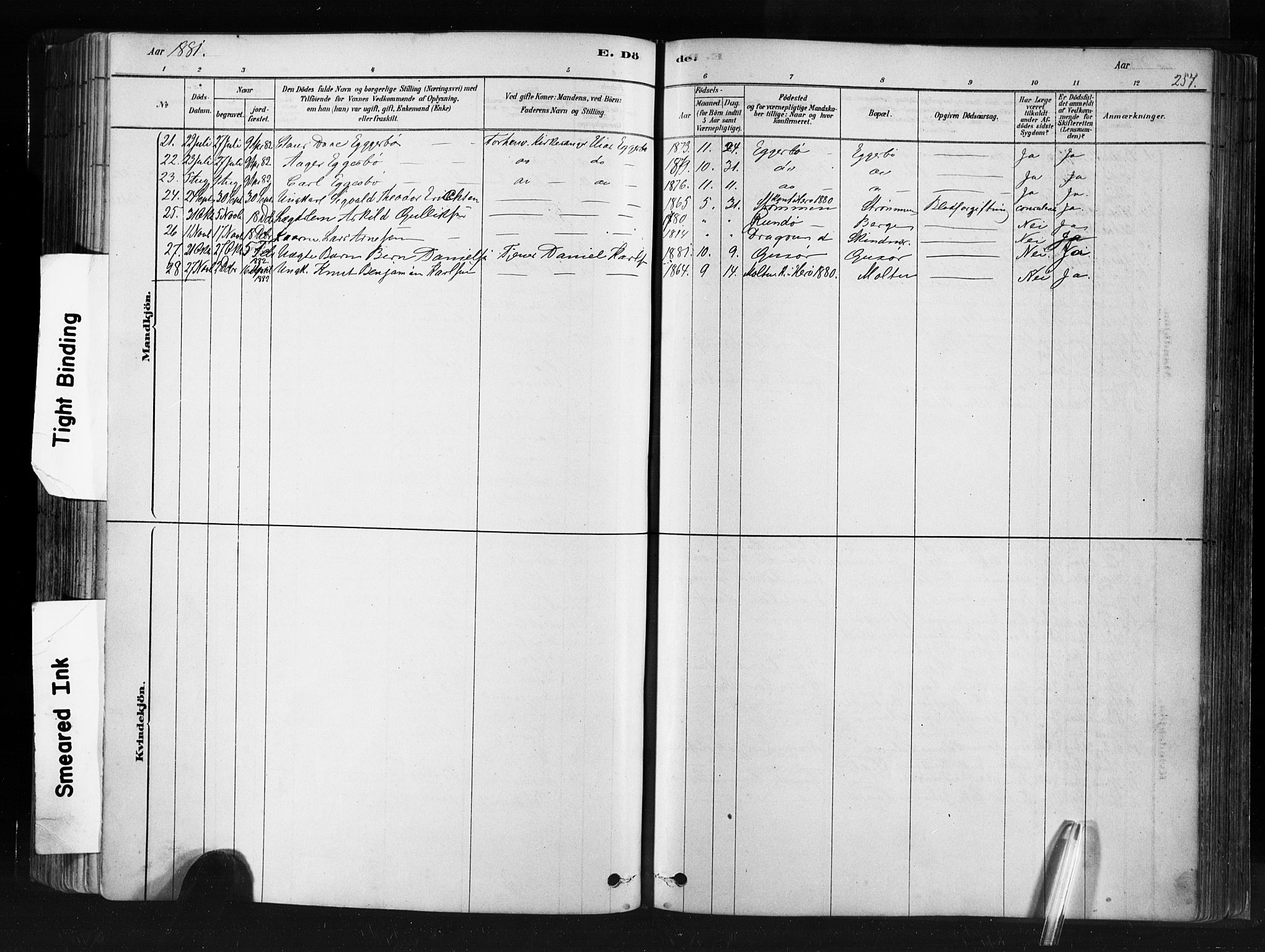 Ministerialprotokoller, klokkerbøker og fødselsregistre - Møre og Romsdal, SAT/A-1454/507/L0073: Ministerialbok nr. 507A08, 1878-1904, s. 257