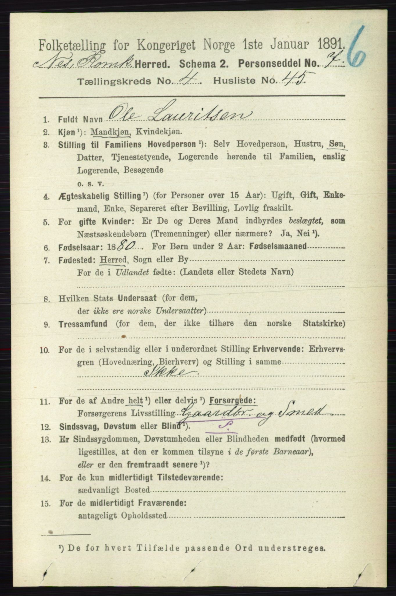 RA, Folketelling 1891 for 0236 Nes herred, 1891, s. 2515