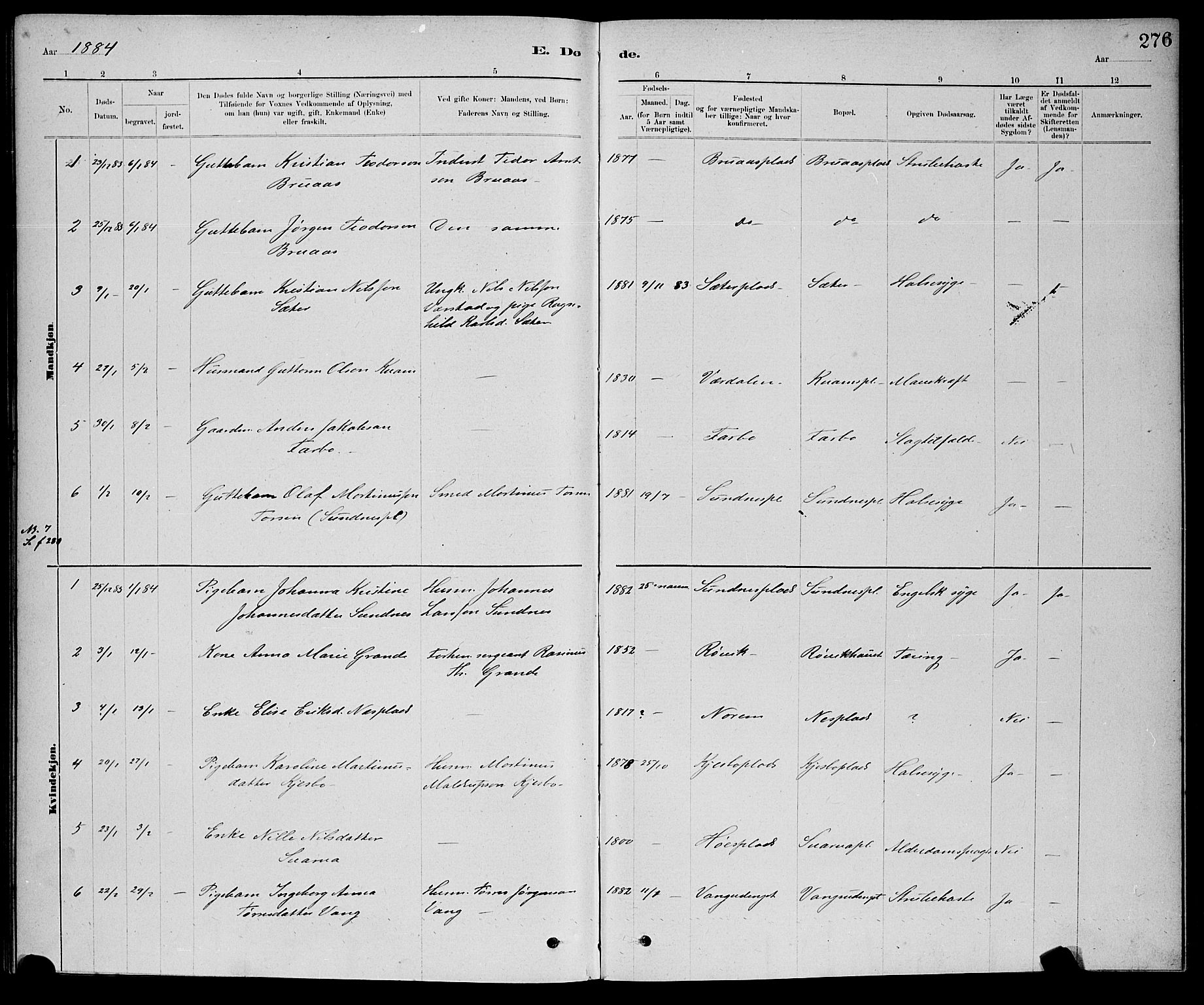 Ministerialprotokoller, klokkerbøker og fødselsregistre - Nord-Trøndelag, SAT/A-1458/730/L0301: Klokkerbok nr. 730C04, 1880-1897, s. 276