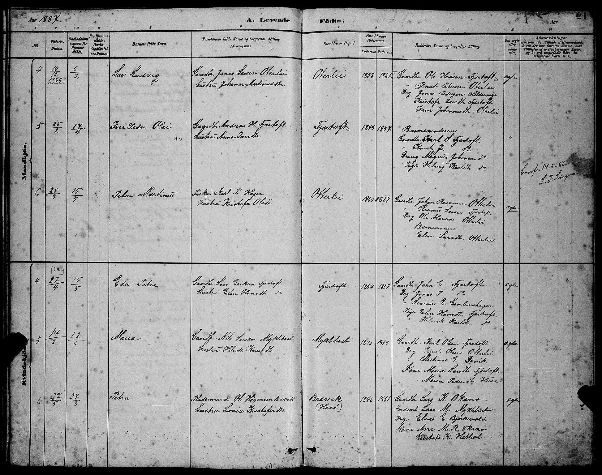 Ministerialprotokoller, klokkerbøker og fødselsregistre - Møre og Romsdal, SAT/A-1454/538/L0523: Klokkerbok nr. 538C01, 1881-1900, s. 21