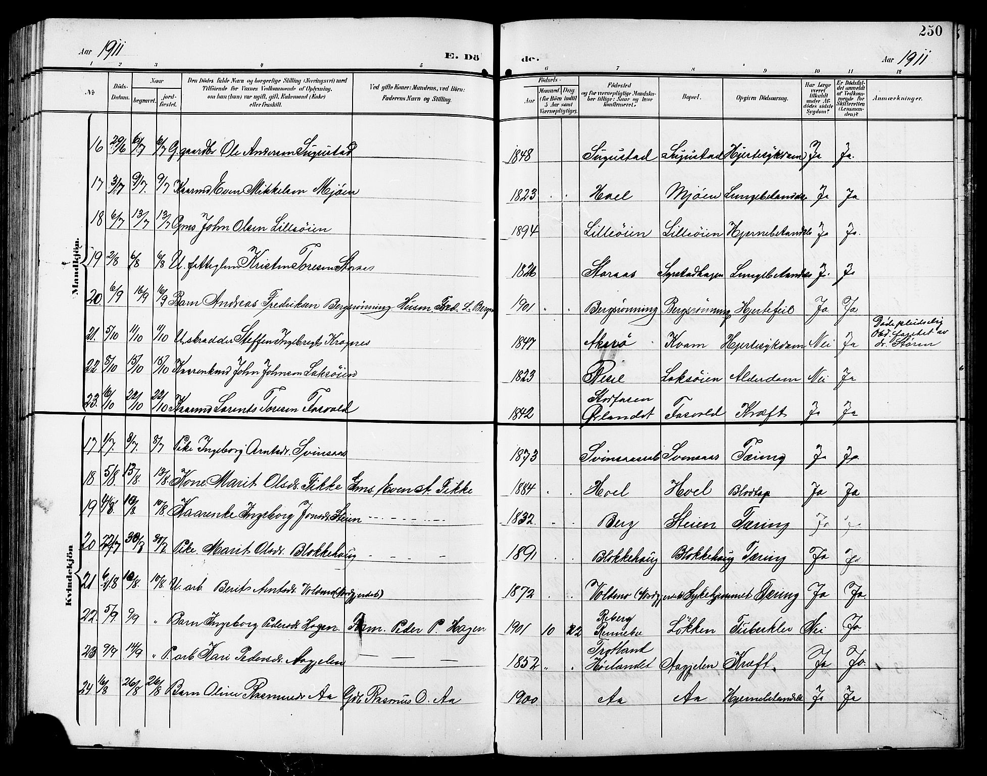 Ministerialprotokoller, klokkerbøker og fødselsregistre - Sør-Trøndelag, AV/SAT-A-1456/672/L0864: Klokkerbok nr. 672C03, 1902-1914, s. 250