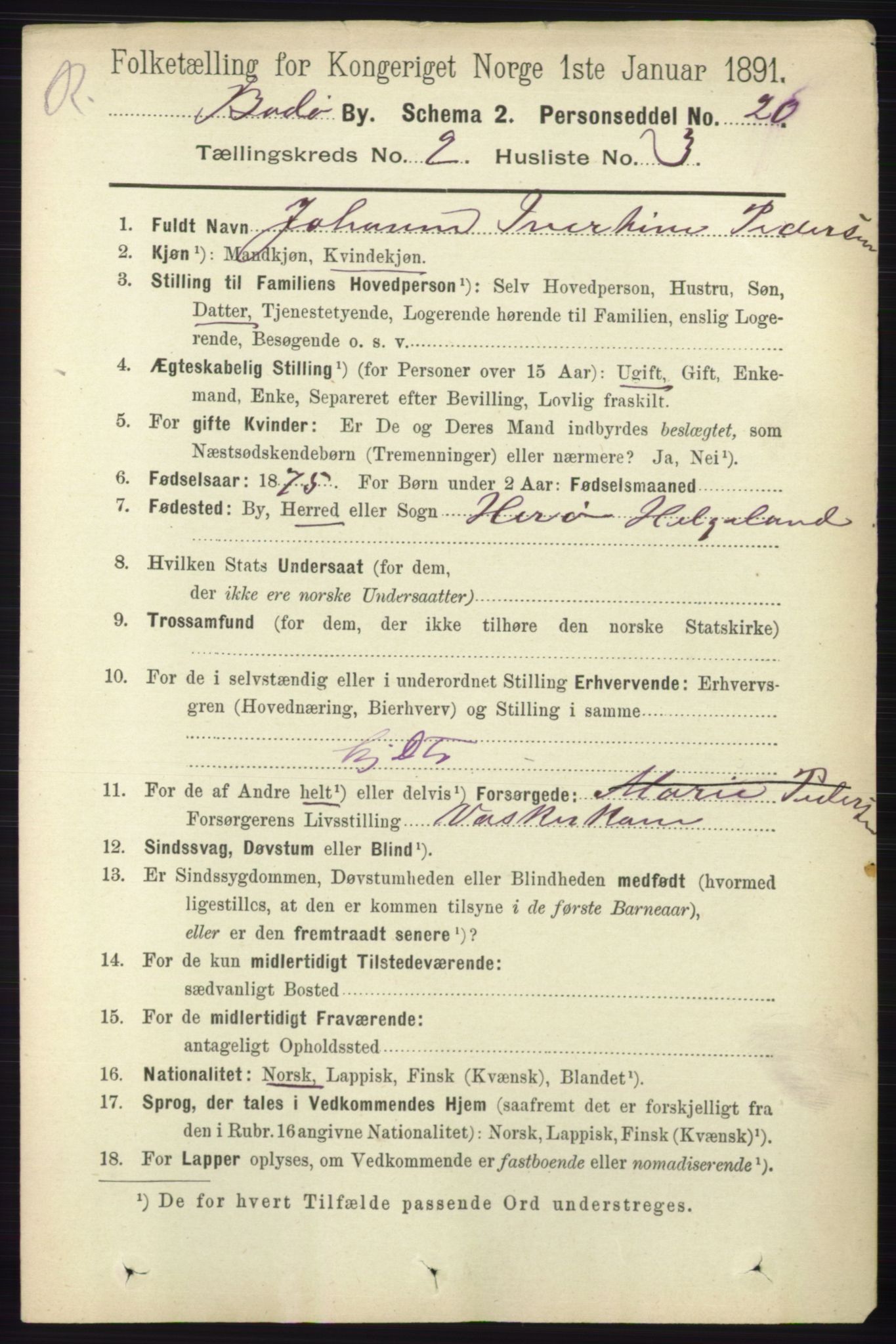 RA, Folketelling 1891 for 1804 Bodø kjøpstad, 1891, s. 1033