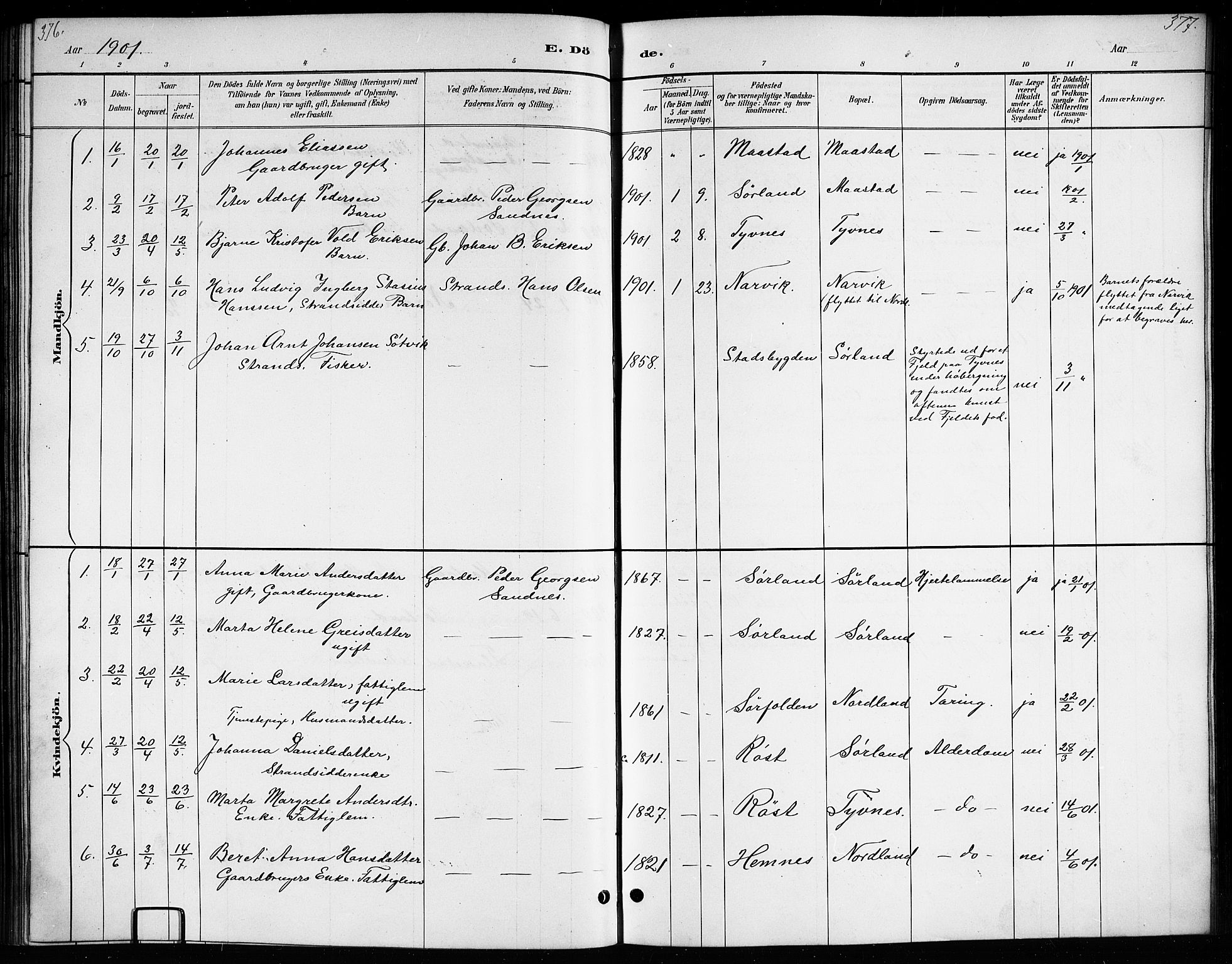 Ministerialprotokoller, klokkerbøker og fødselsregistre - Nordland, AV/SAT-A-1459/807/L0123: Klokkerbok nr. 807C01, 1884-1910, s. 376-377