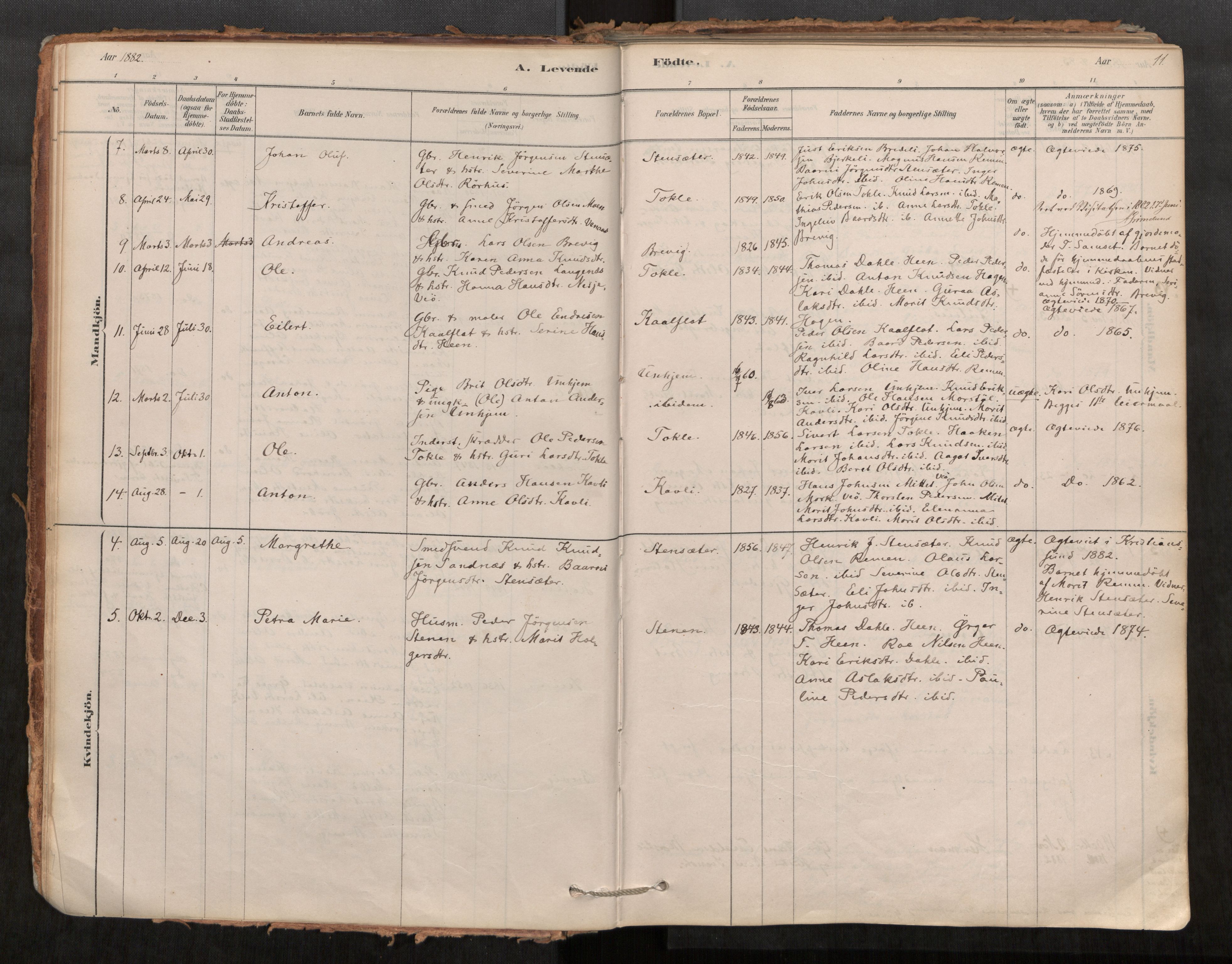 Ministerialprotokoller, klokkerbøker og fødselsregistre - Møre og Romsdal, AV/SAT-A-1454/545/L0594: Ministerialbok nr. 545A03, 1878-1920, s. 11