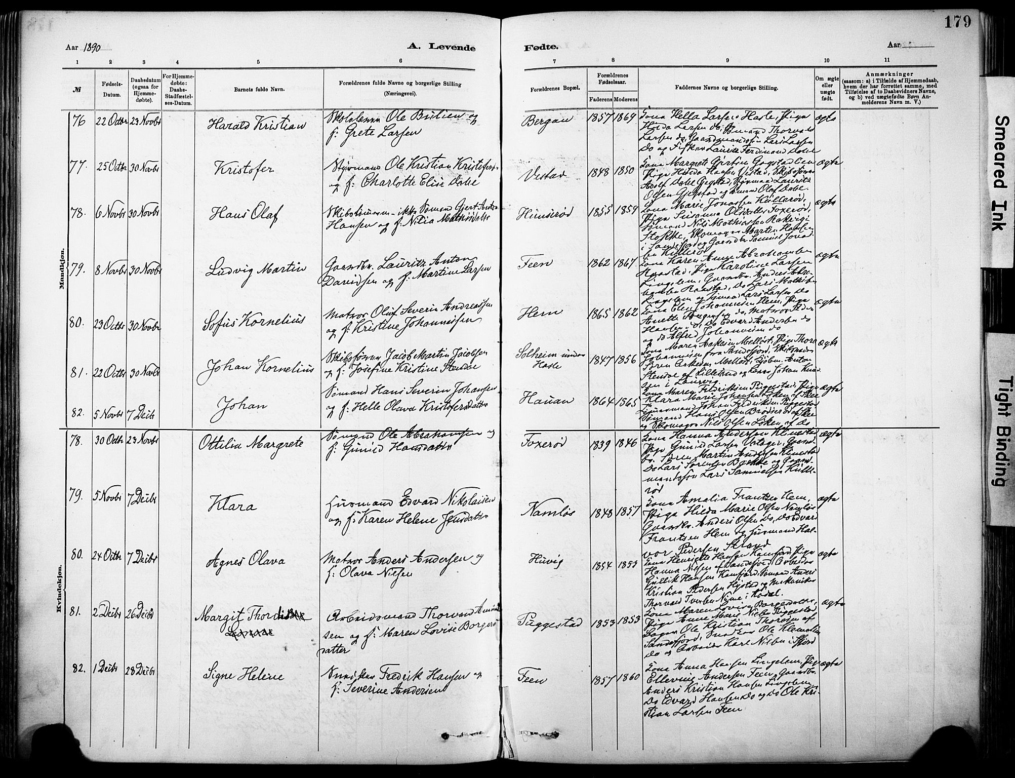 Sandar kirkebøker, AV/SAKO-A-243/F/Fa/L0012: Ministerialbok nr. 12, 1883-1895, s. 179