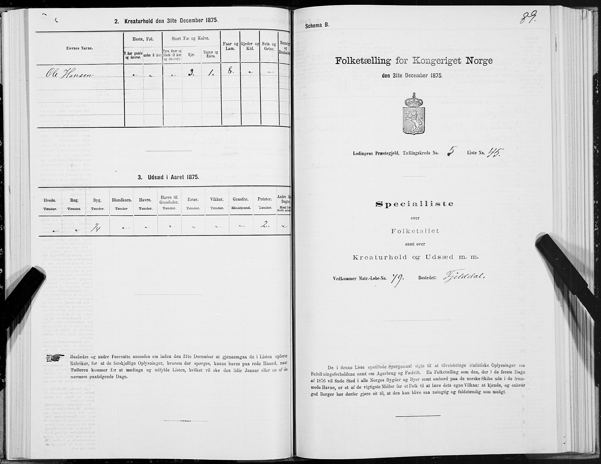 SAT, Folketelling 1875 for 1851P Lødingen prestegjeld, 1875, s. 3089