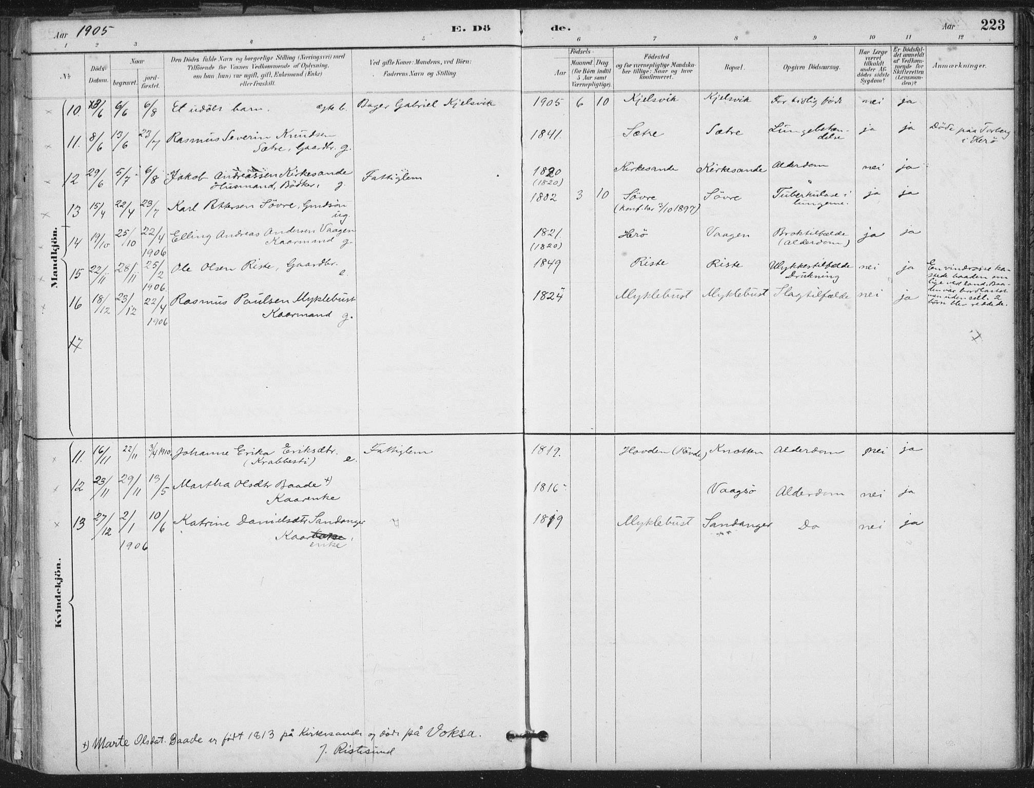 Ministerialprotokoller, klokkerbøker og fødselsregistre - Møre og Romsdal, AV/SAT-A-1454/503/L0037: Ministerialbok nr. 503A05, 1884-1900, s. 223