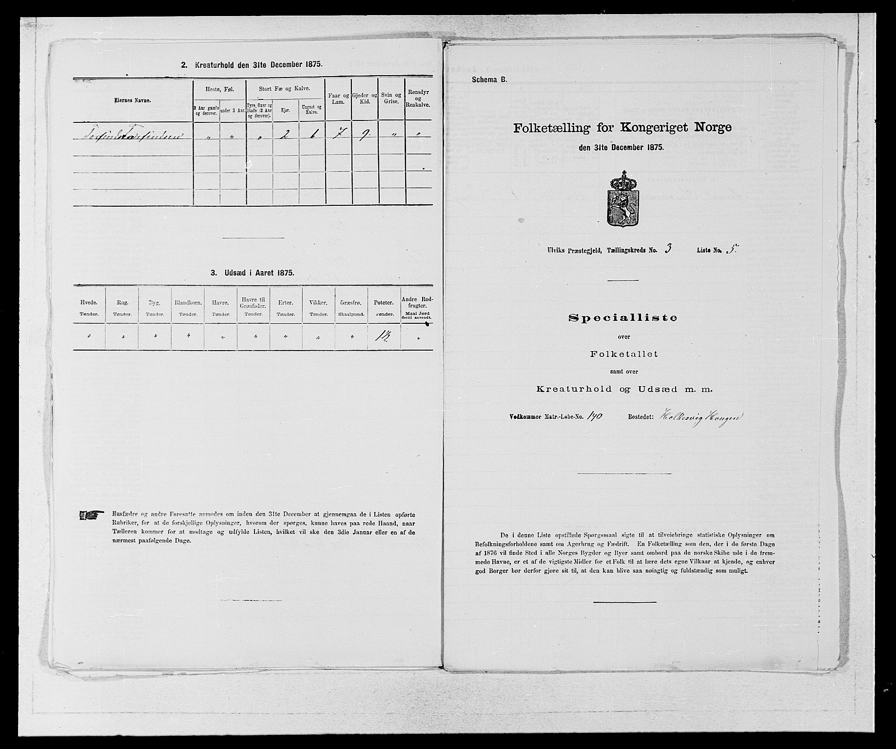 SAB, Folketelling 1875 for 1233P Ulvik prestegjeld, 1875, s. 498