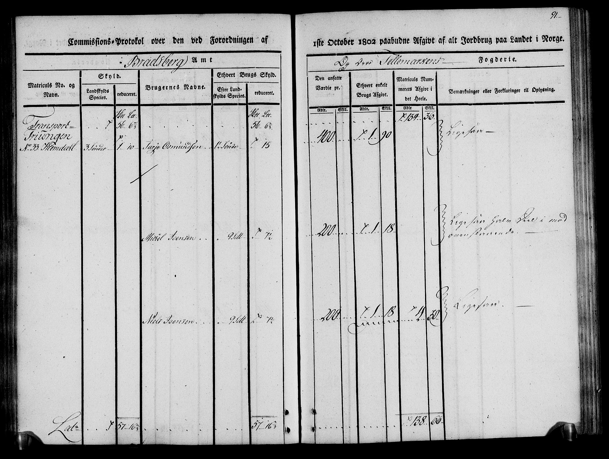 Rentekammeret inntil 1814, Realistisk ordnet avdeling, AV/RA-EA-4070/N/Ne/Nea/L0075: Øvre Telemarken fogderi. Kommisjonsprotokoll for fogderiets vestre del - Kviteseid, Vinje, Moland [):Fyresdal] og Lårdal prestegjeld., 1803, s. 91
