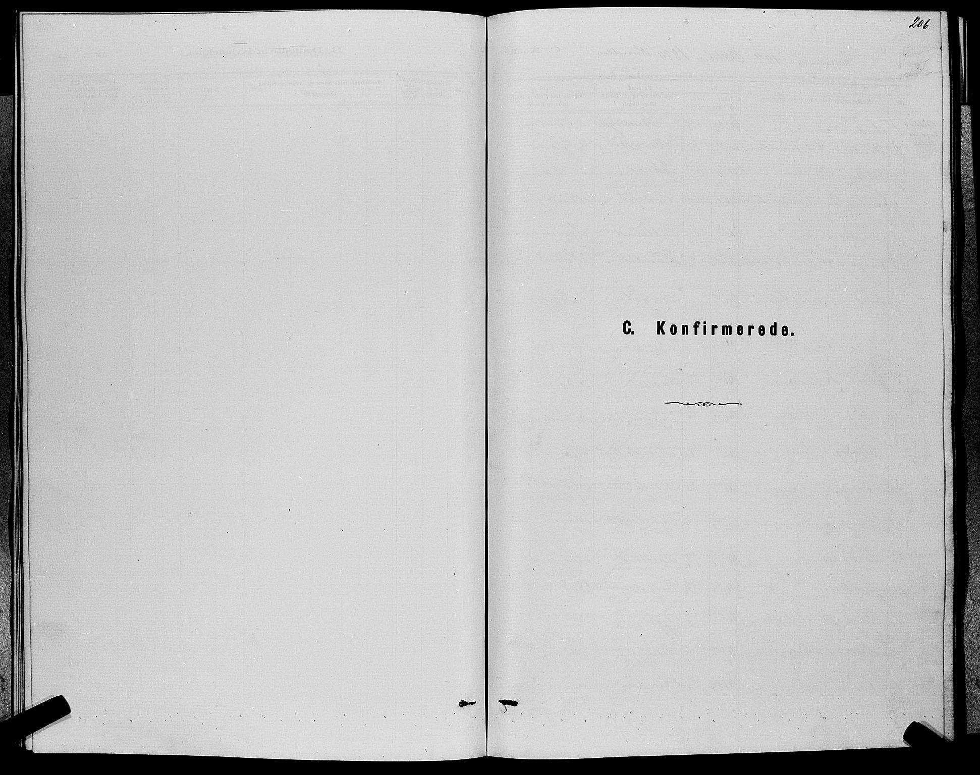 Nedre Eiker kirkebøker, SAKO/A-612/G/Ga/L0002: Klokkerbok nr. 2, 1880-1896, s. 206