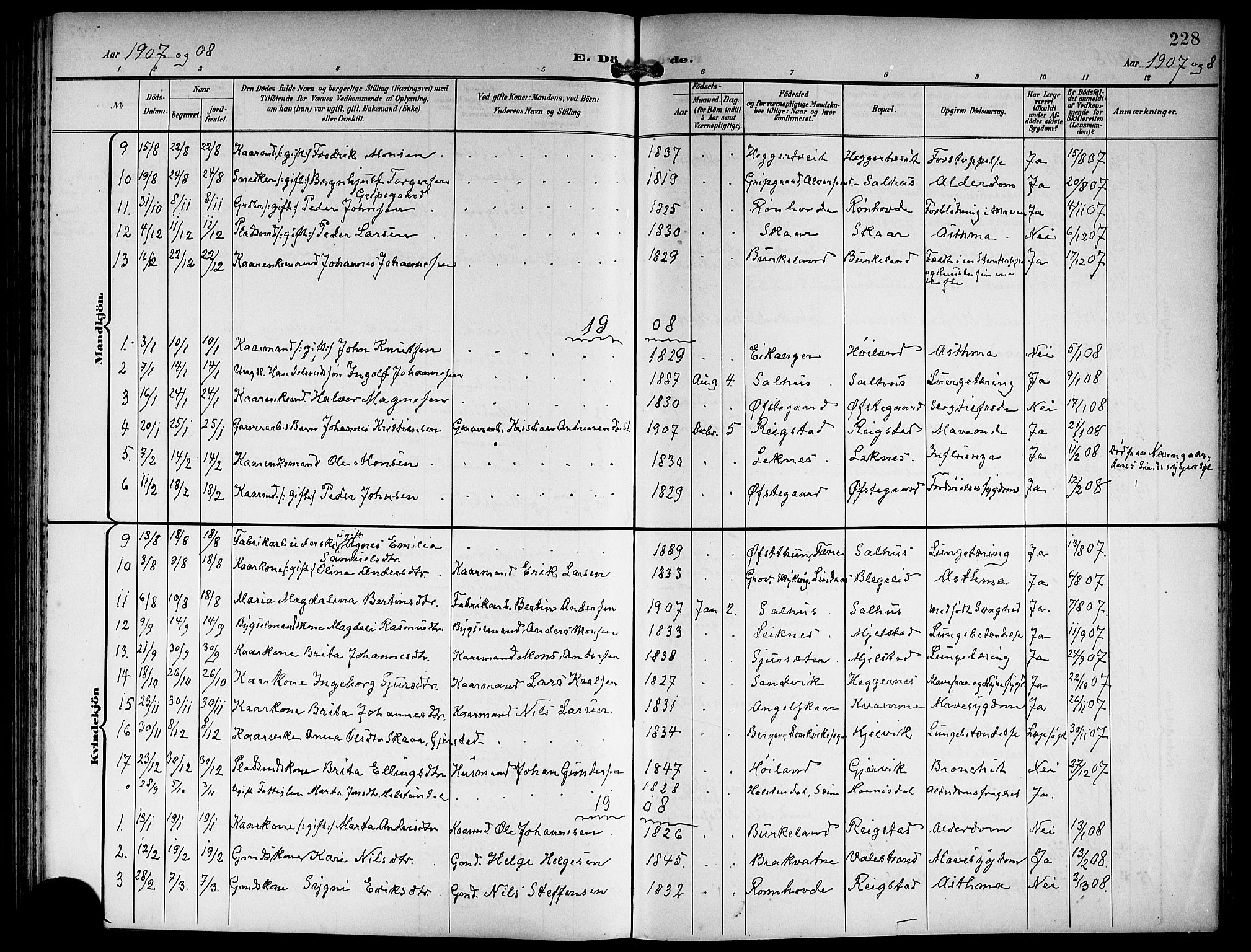 Hamre sokneprestembete, AV/SAB-A-75501/H/Ha/Hab: Klokkerbok nr. B 4, 1898-1919, s. 228